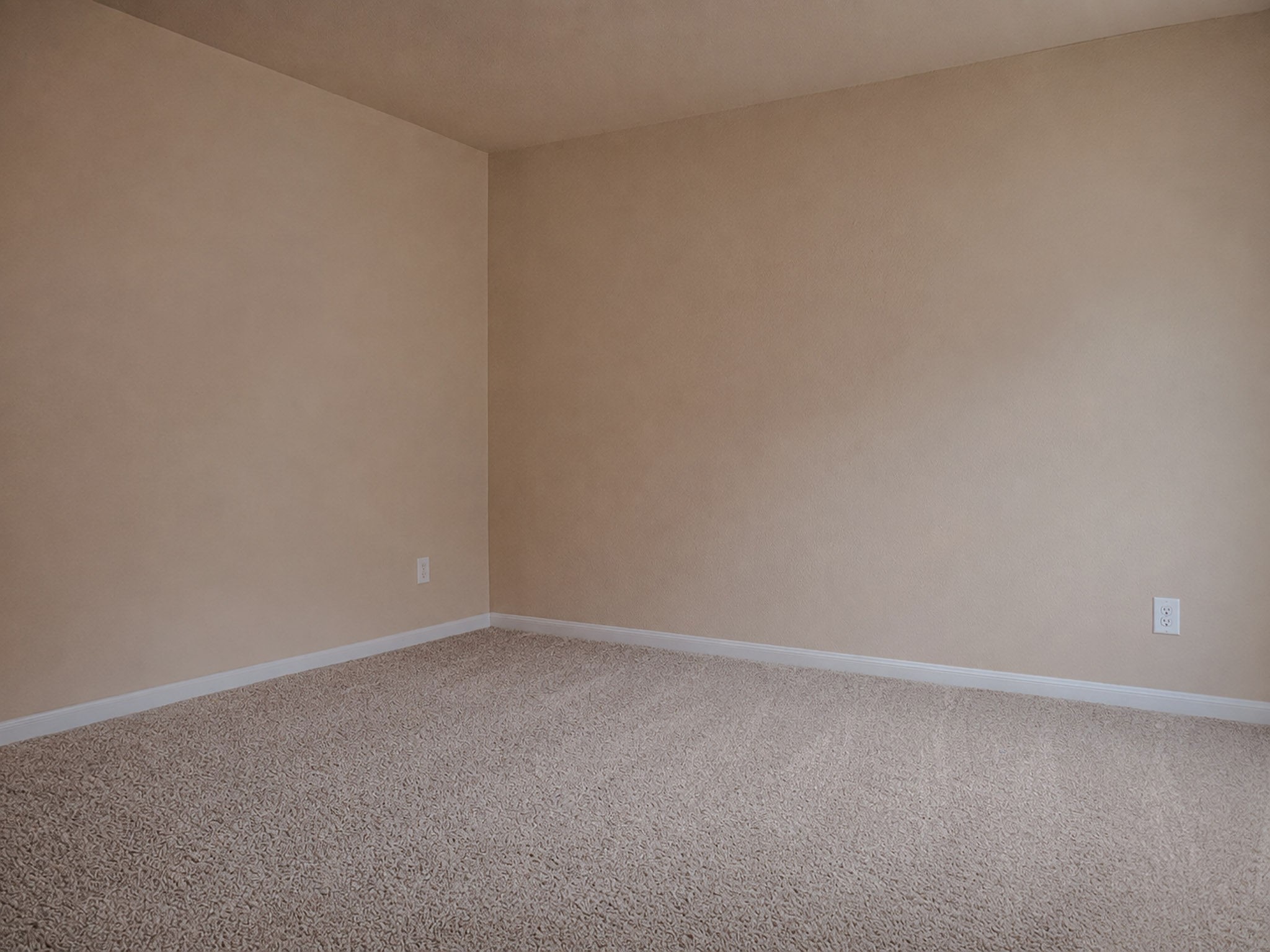 12559 Colony Hill Lane Property Photo 10