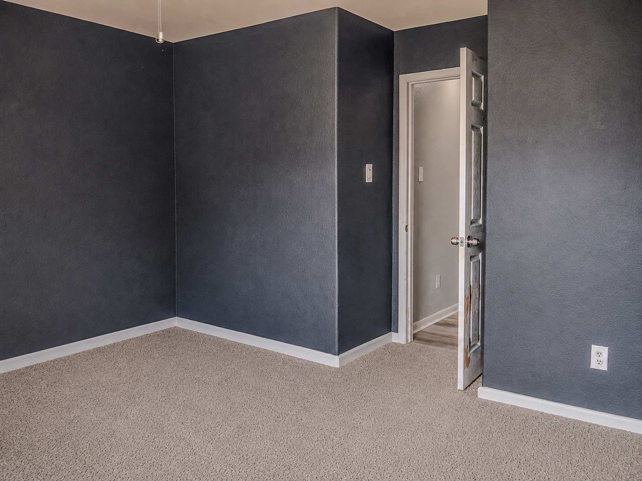 12559 Colony Hill Lane Property Photo 11
