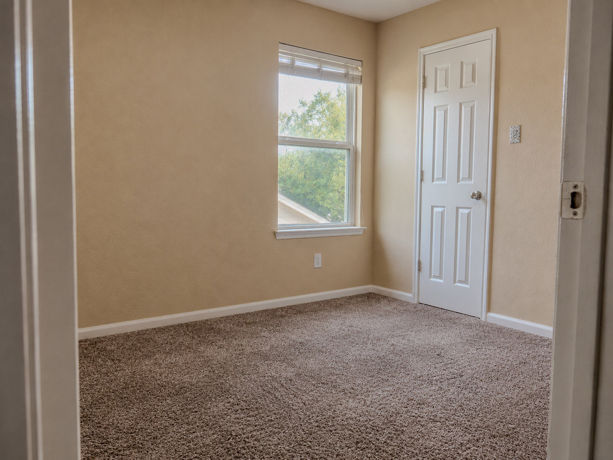 12559 Colony Hill Lane Property Photo 15
