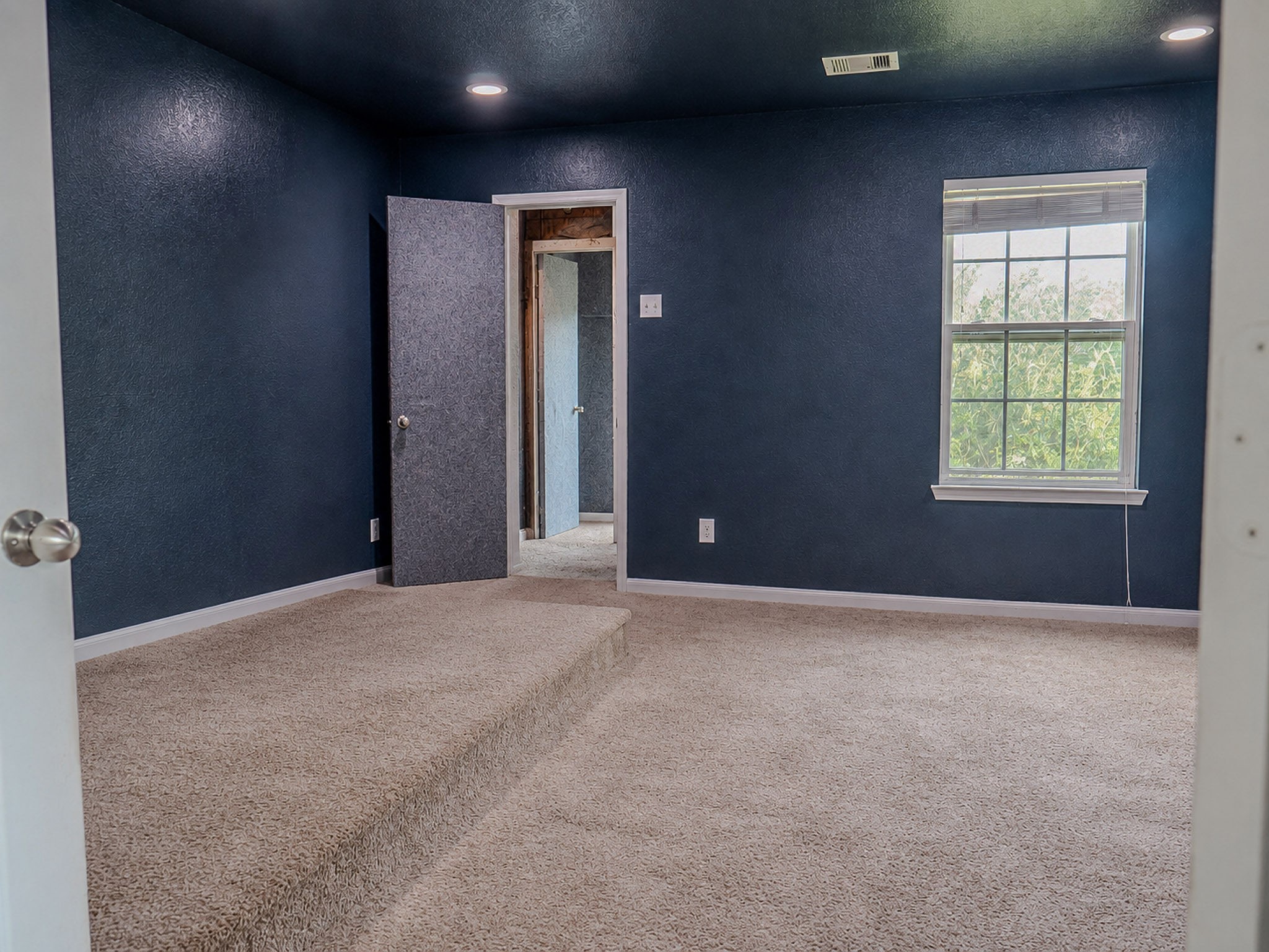 12559 Colony Hill Lane Property Photo 18