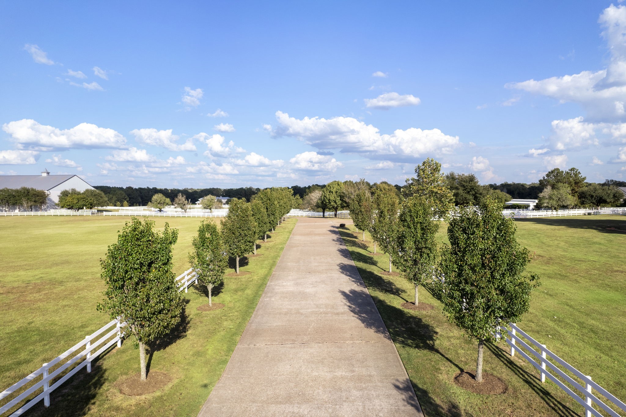 2250 Spring Branch Road Property Photo 10