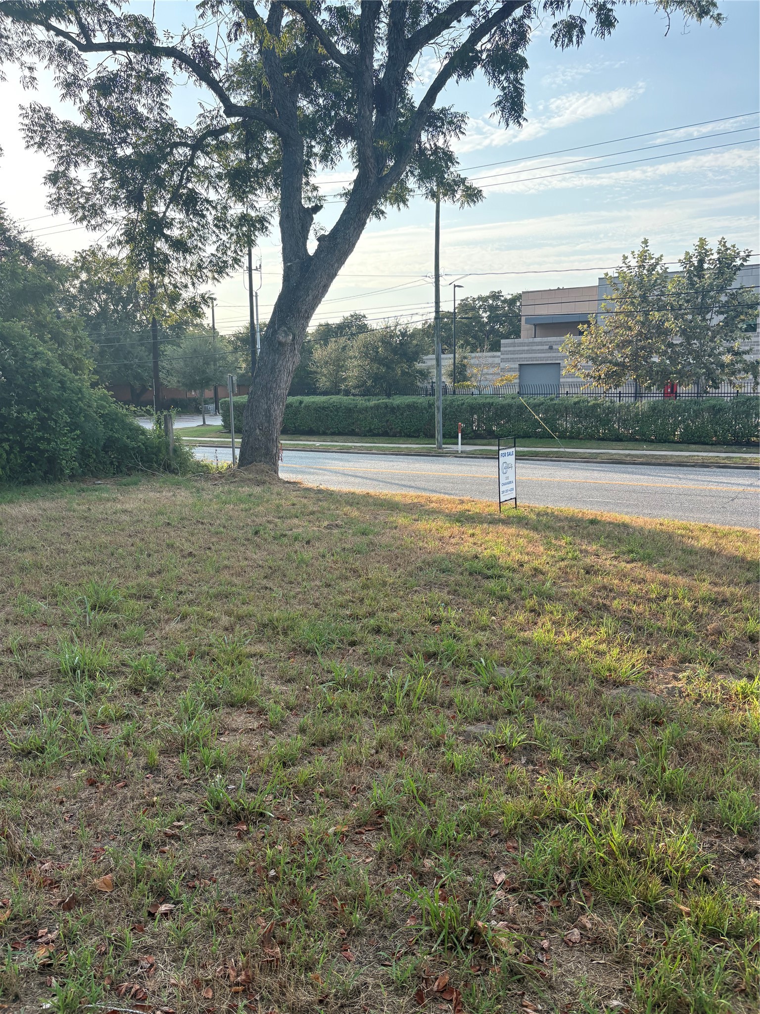 303 Austin Street Property Photo 8