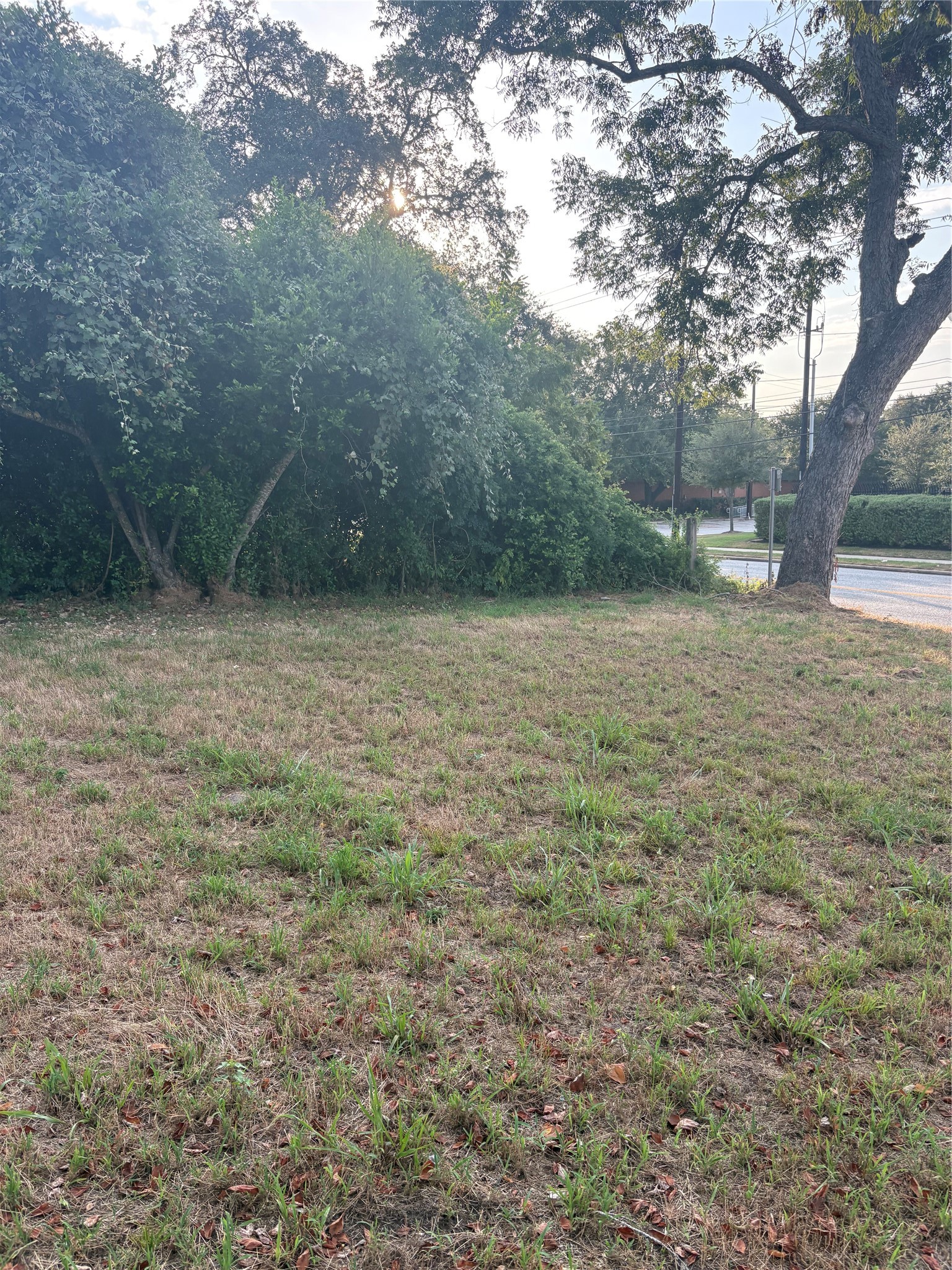 303 Austin Street Property Photo 9