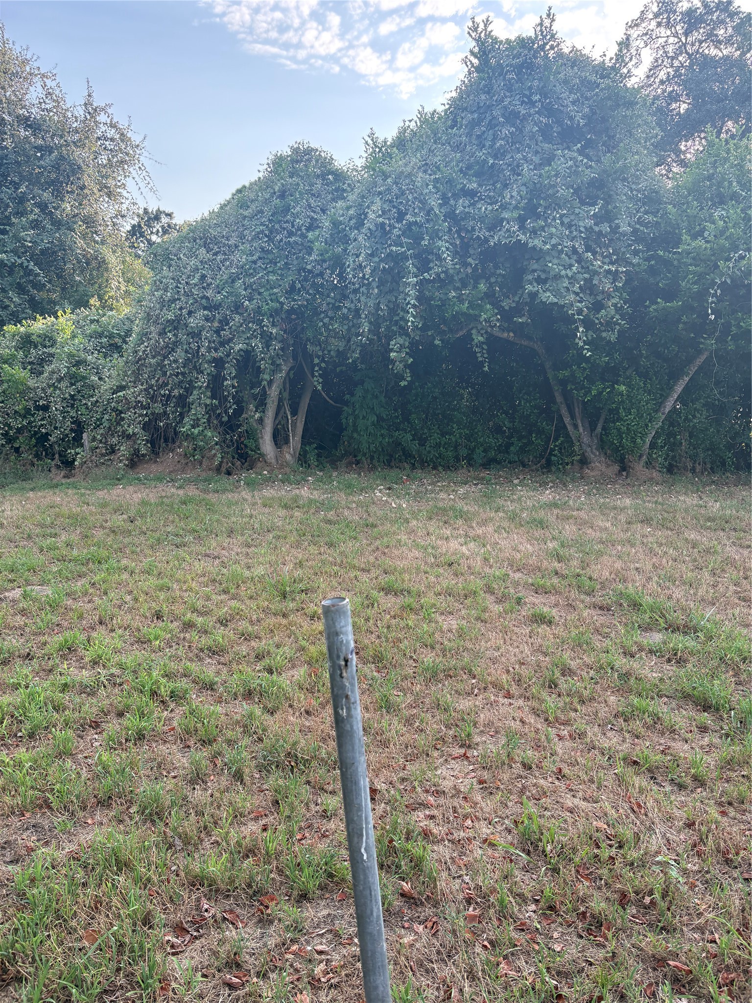 303 Austin Street Property Photo 10