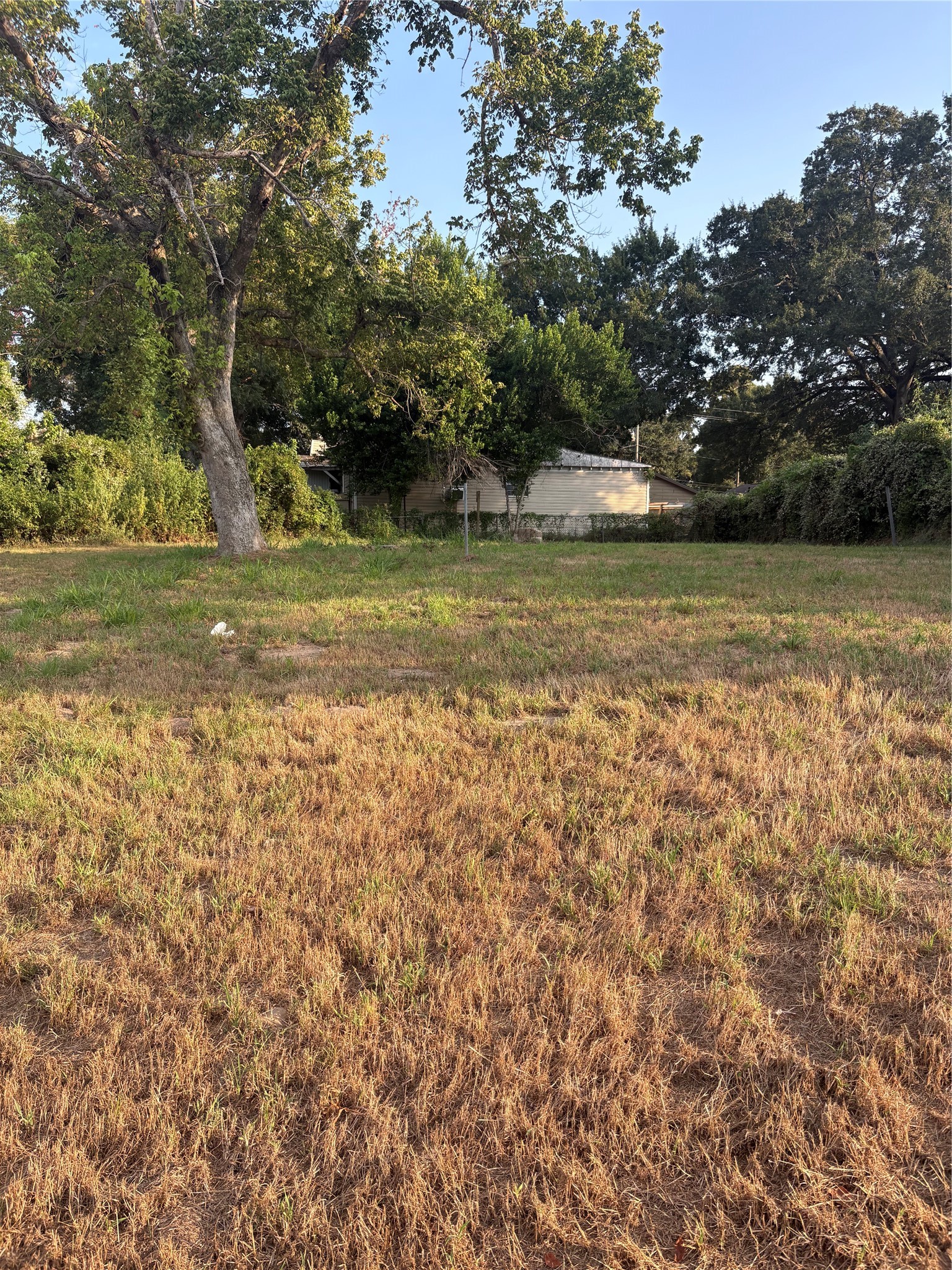303 Austin Street Property Photo 16