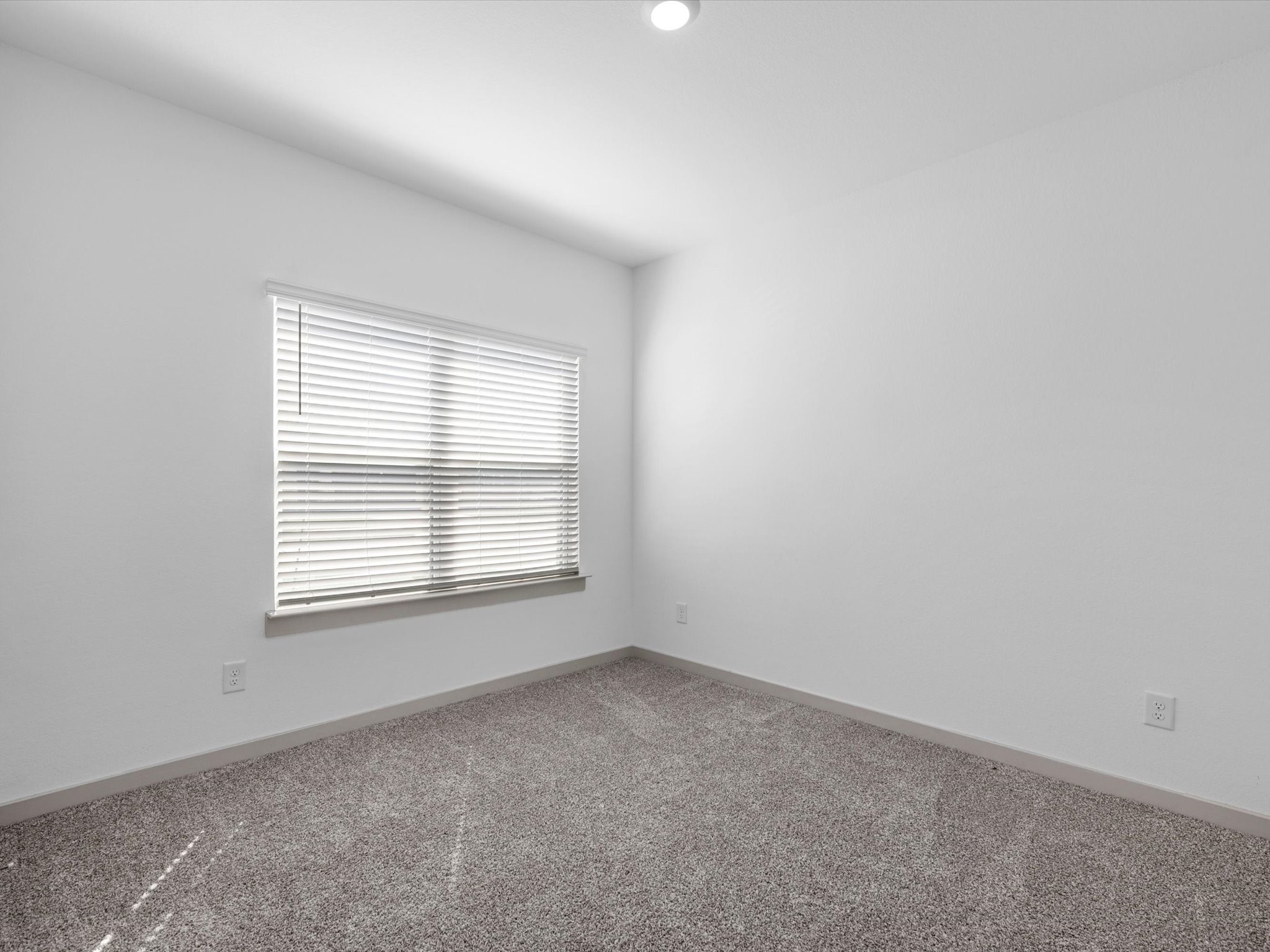 8110 Brahman Lane Property Photo 19