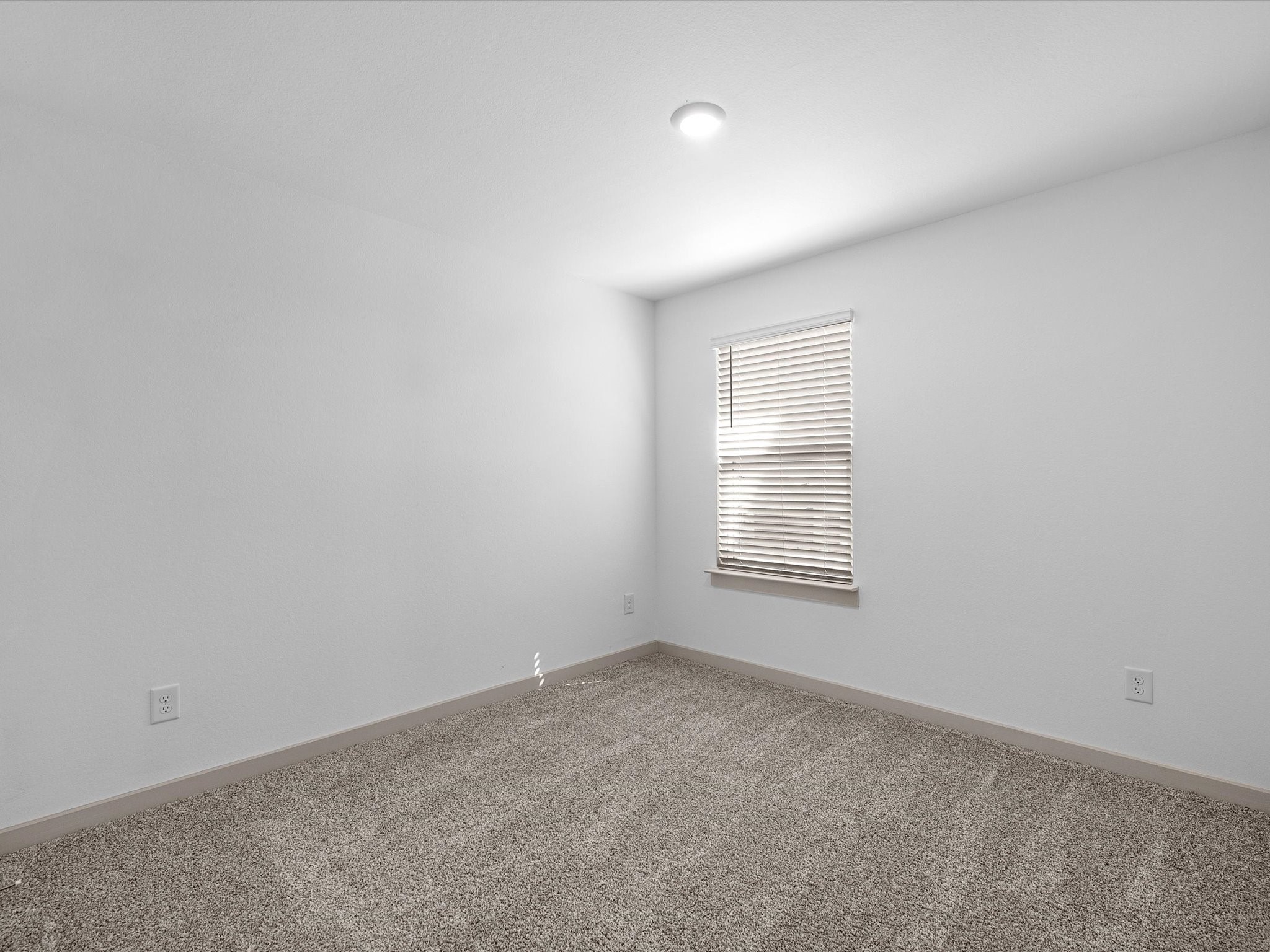 8110 Brahman Lane Property Photo 23