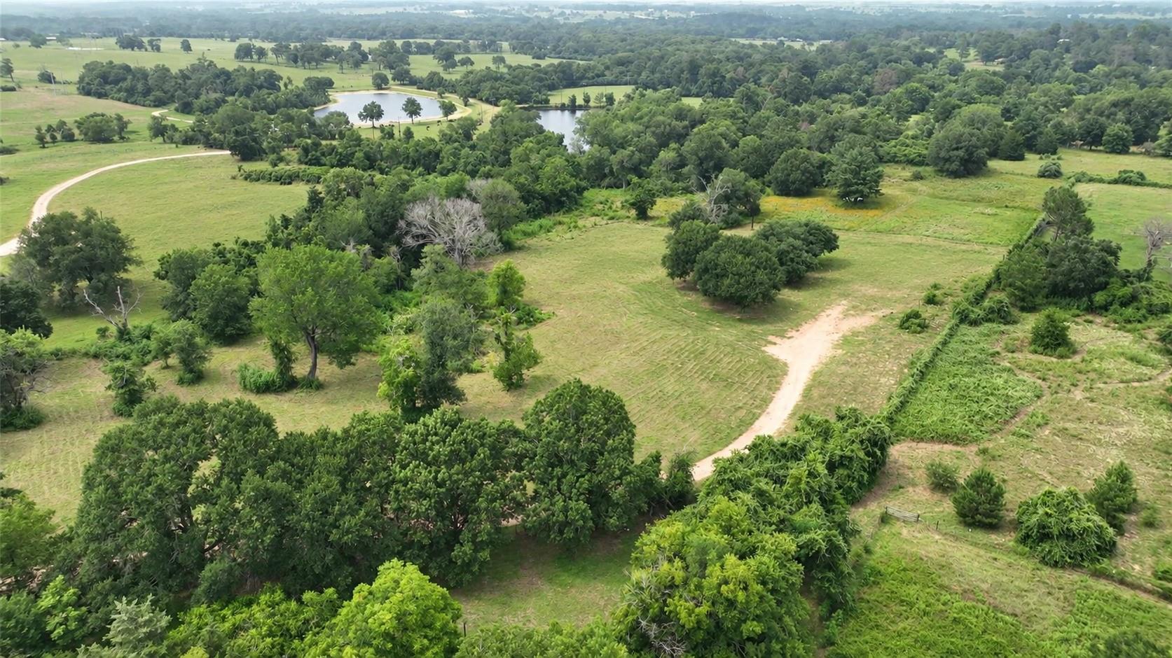 636 W Fisher Street, Bellville Tx 77418 Property Photo 1