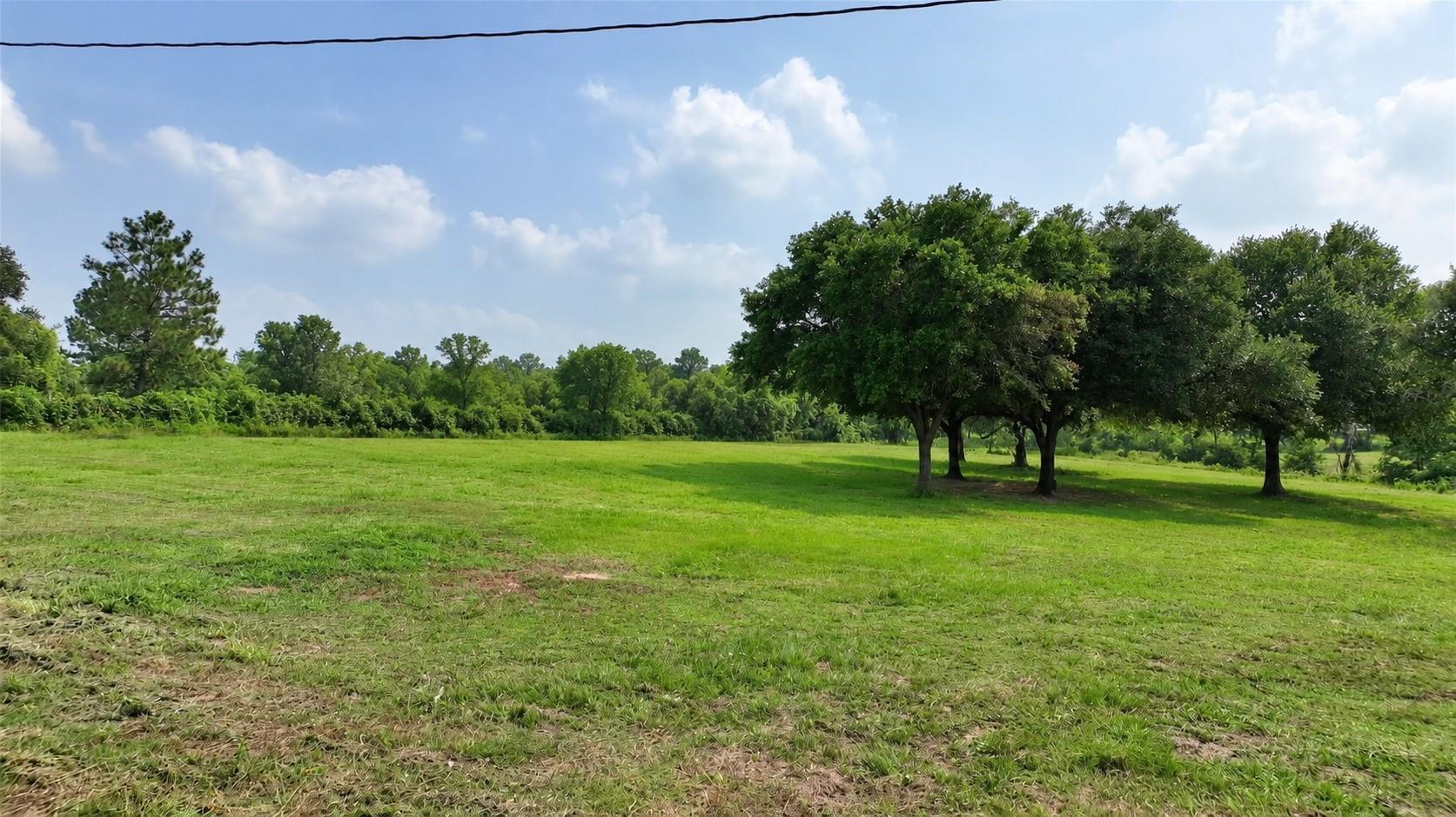 636 W Fisher Street, Bellville Tx 77418 Property Photo 7