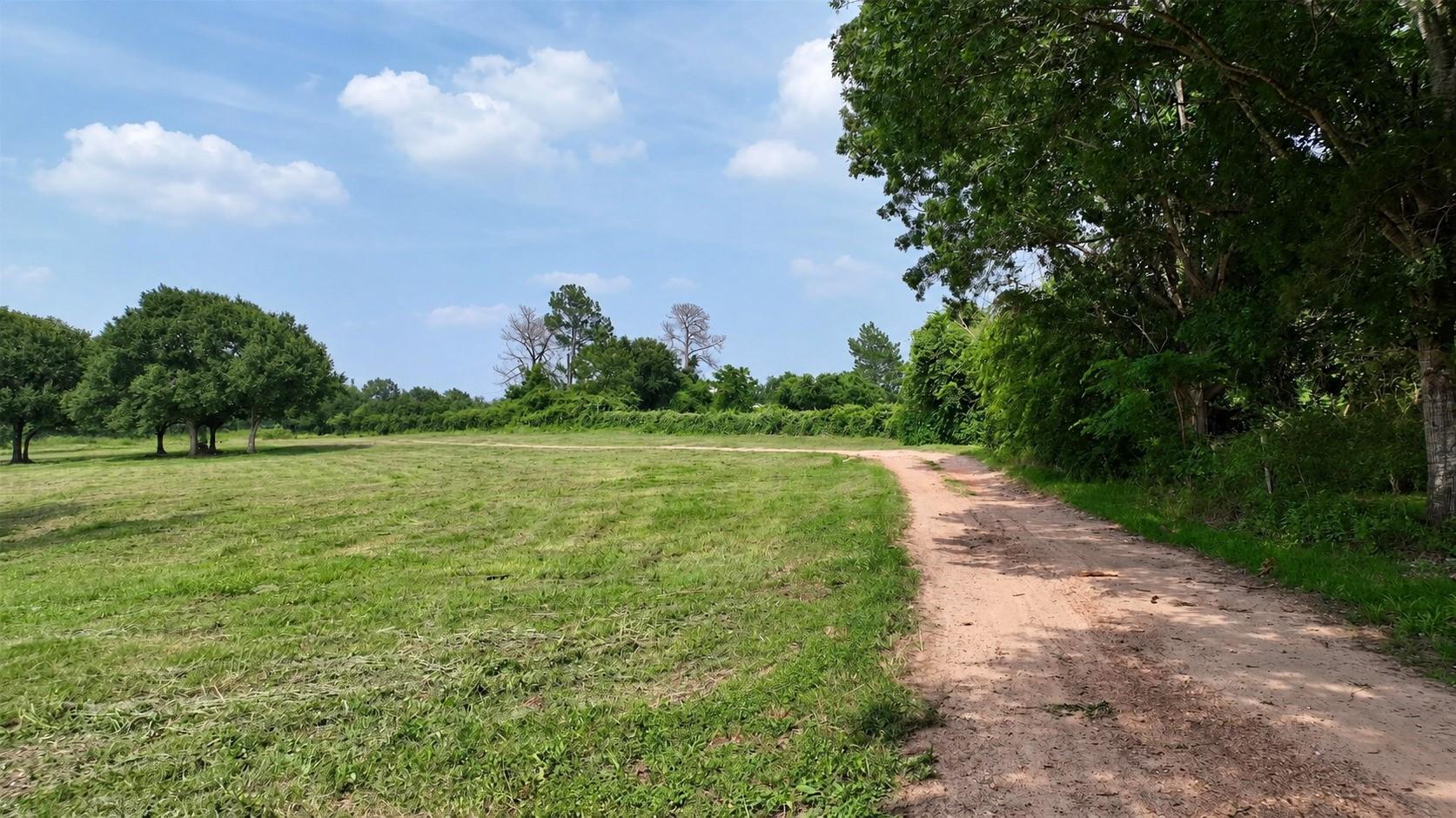 636 W Fisher Street, Bellville Tx 77418 Property Photo 9