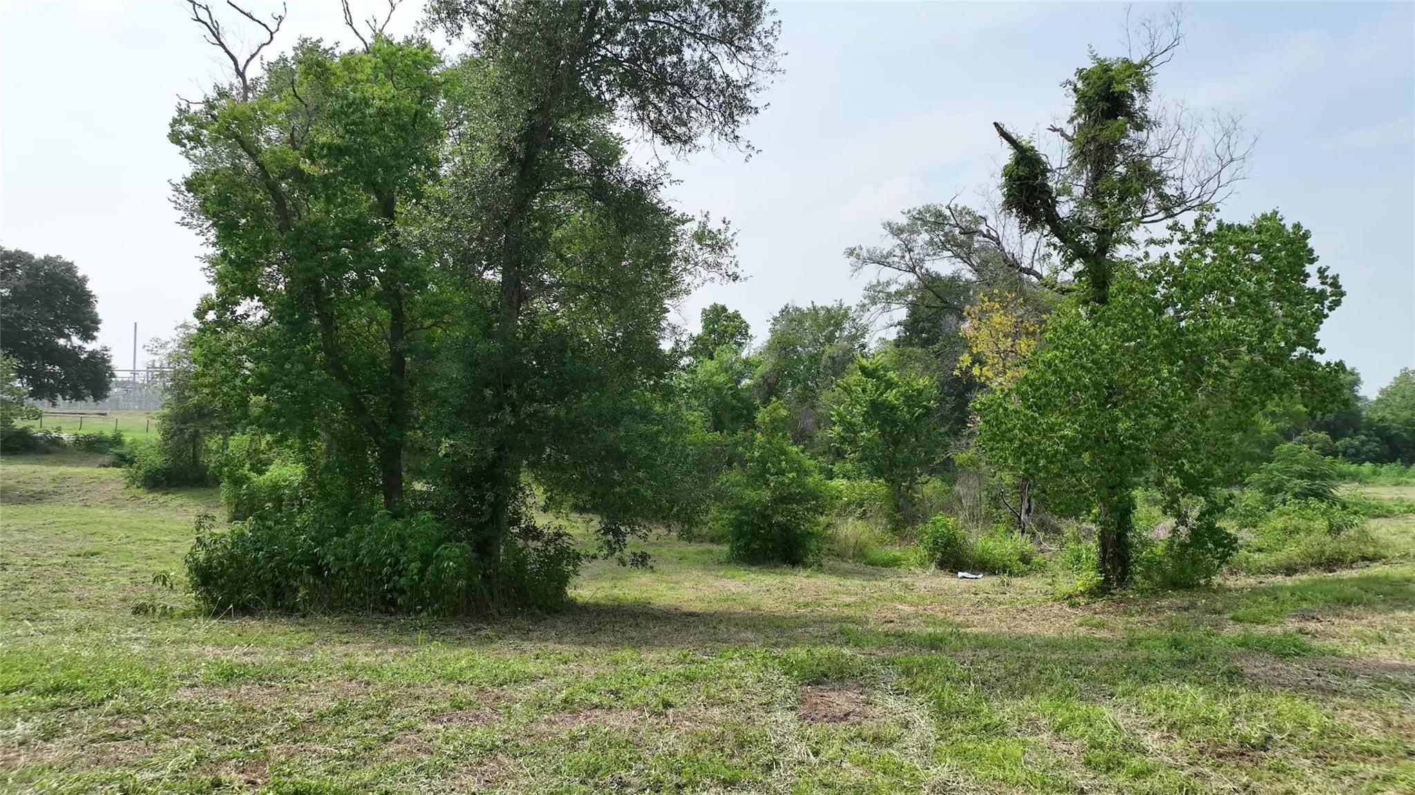 636 W Fisher Street, Bellville Tx 77418 Property Photo 11