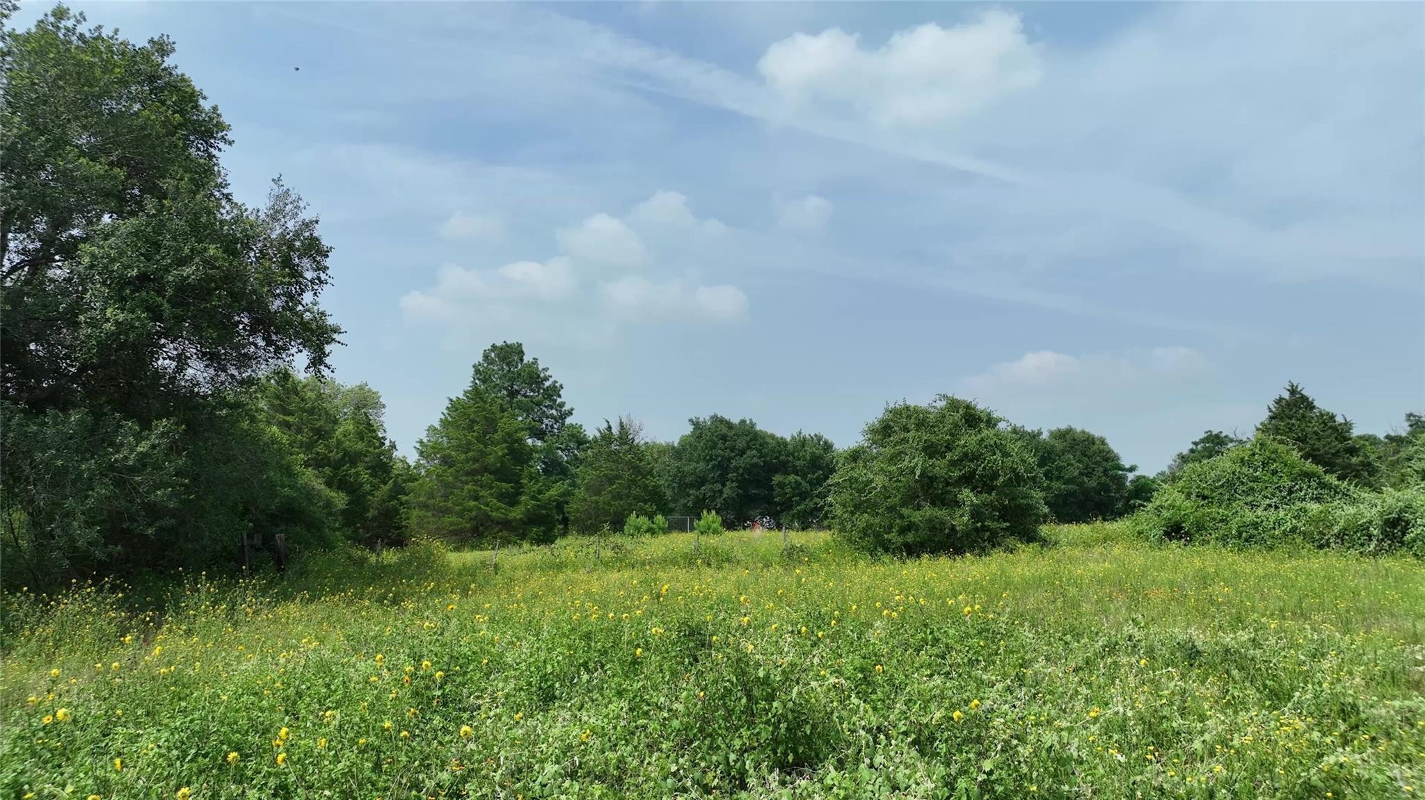 636 W Fisher Street, Bellville Tx 77418 Property Photo 12