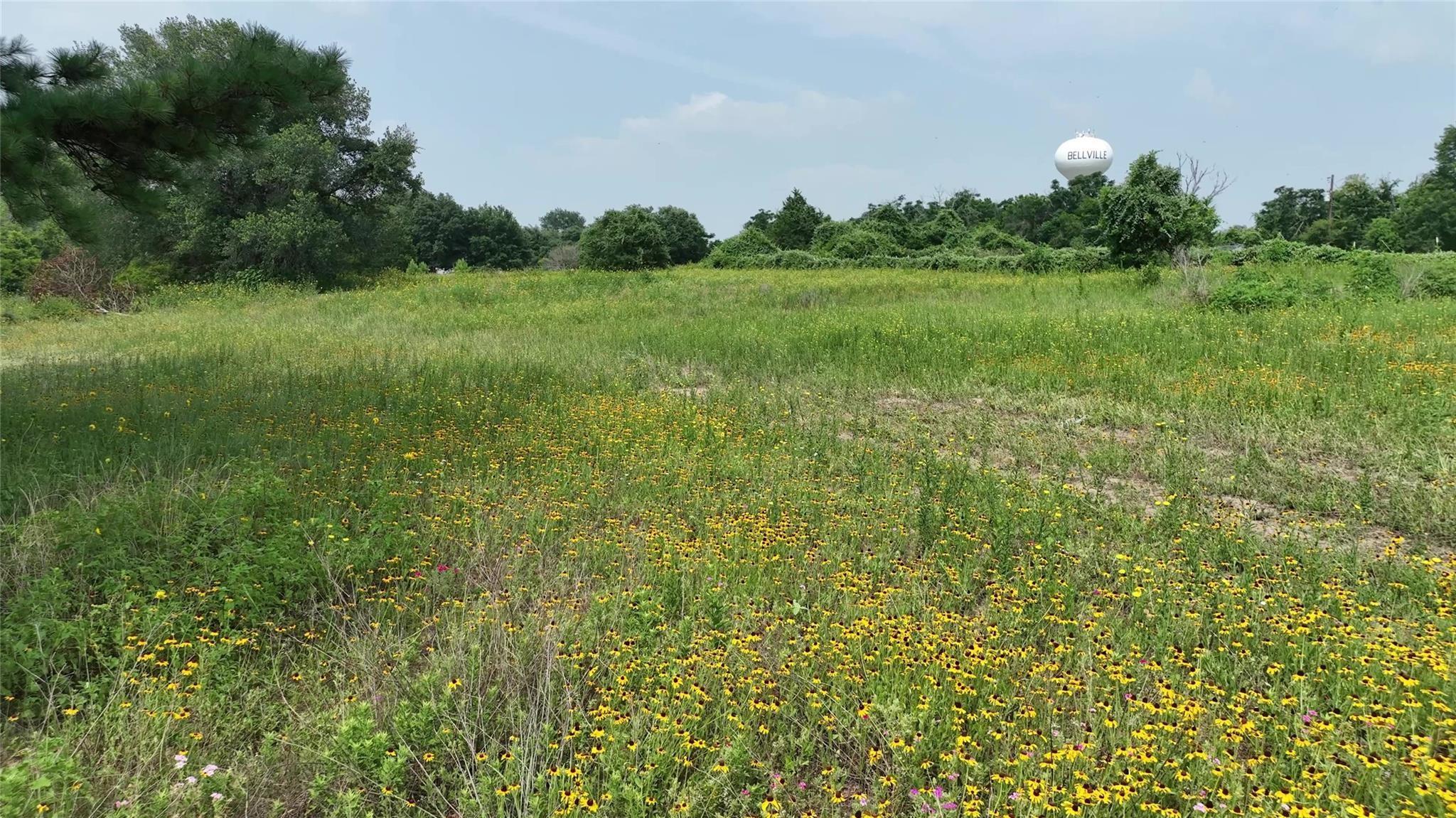 636 W Fisher Street, Bellville Tx 77418 Property Photo 13