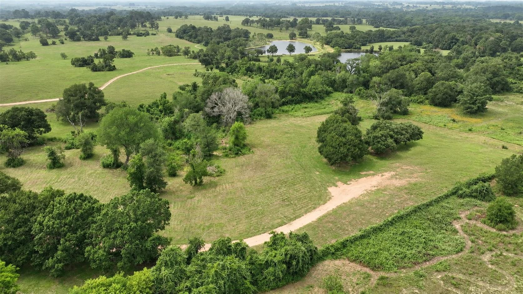 636 W Fisher Street, Bellville Tx 77418 Property Photo 17