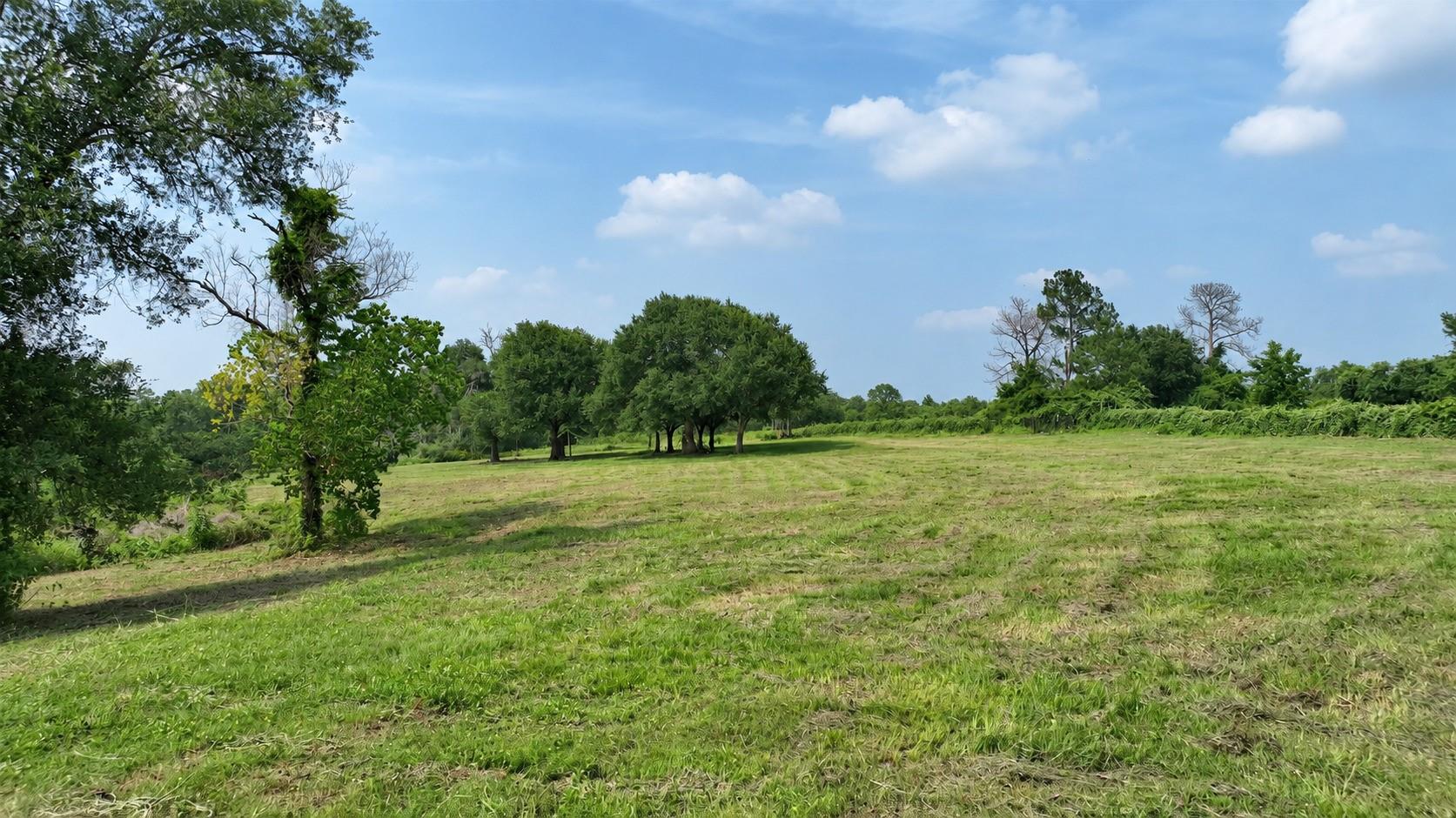 636 W Fisher Street, Bellville Tx 77418 Property Photo 18