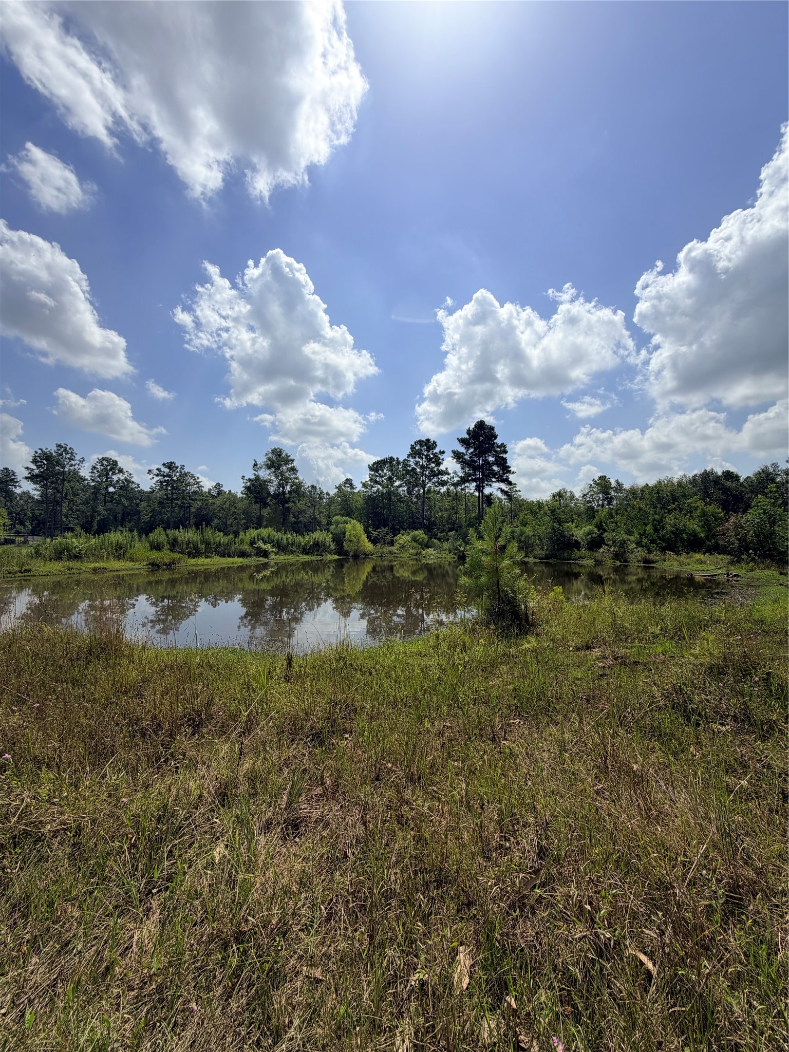 385 County Road 3773 Property Photo 1