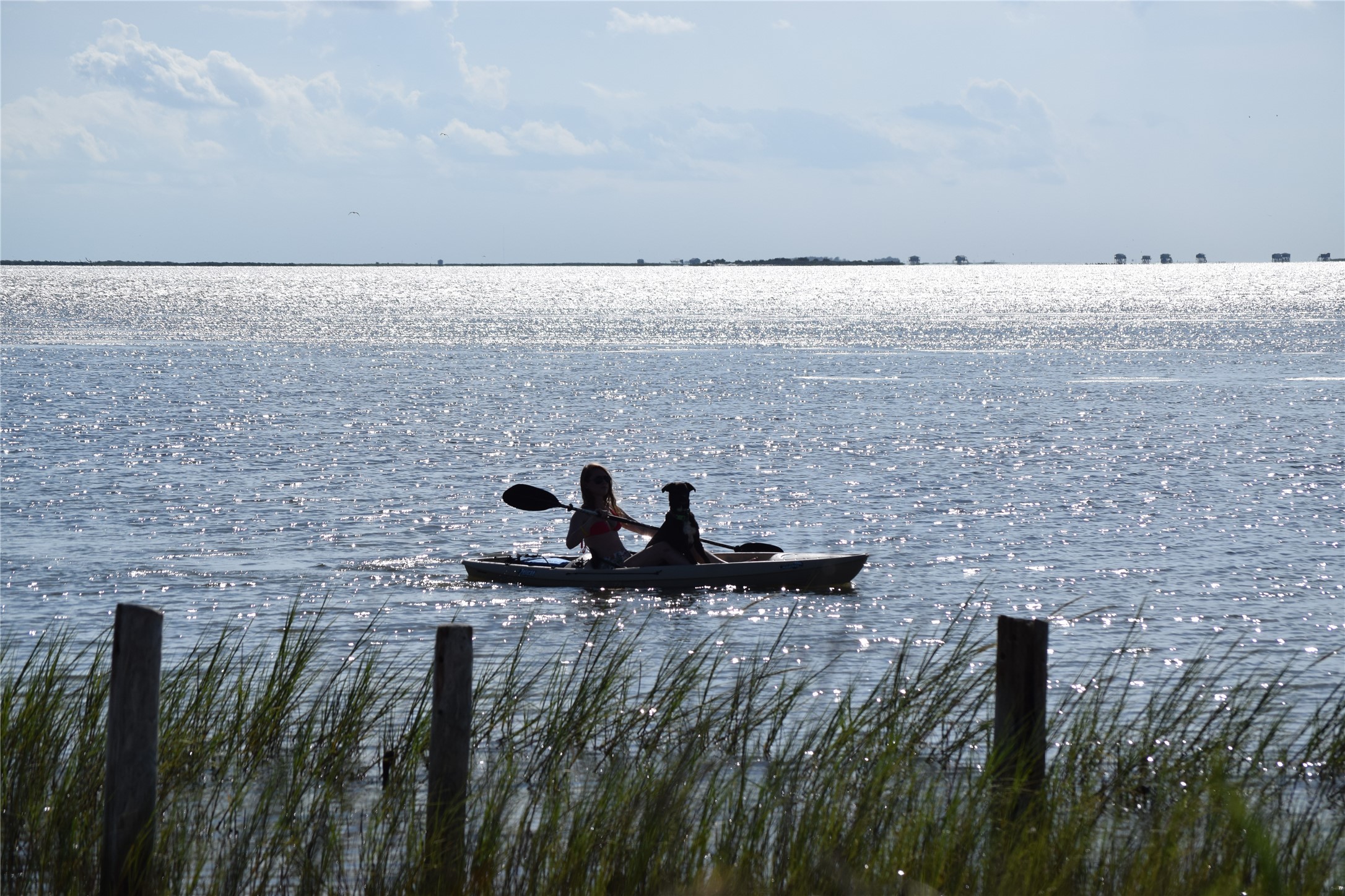 26560 Bay Water Drive 301 Property Photo 50