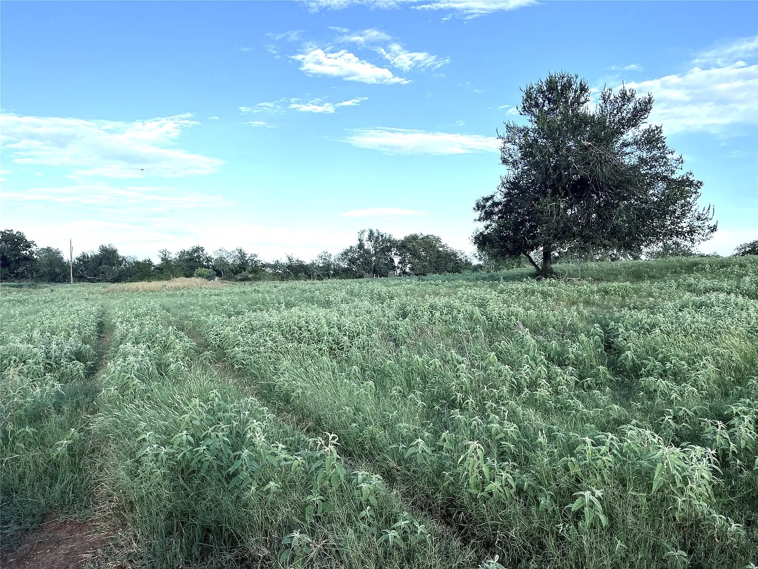 1018 Red Town Rd Property Photo 8