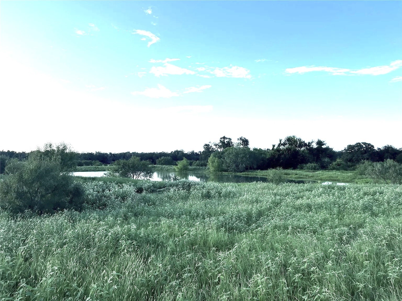 1018 Red Town Rd Property Photo 10