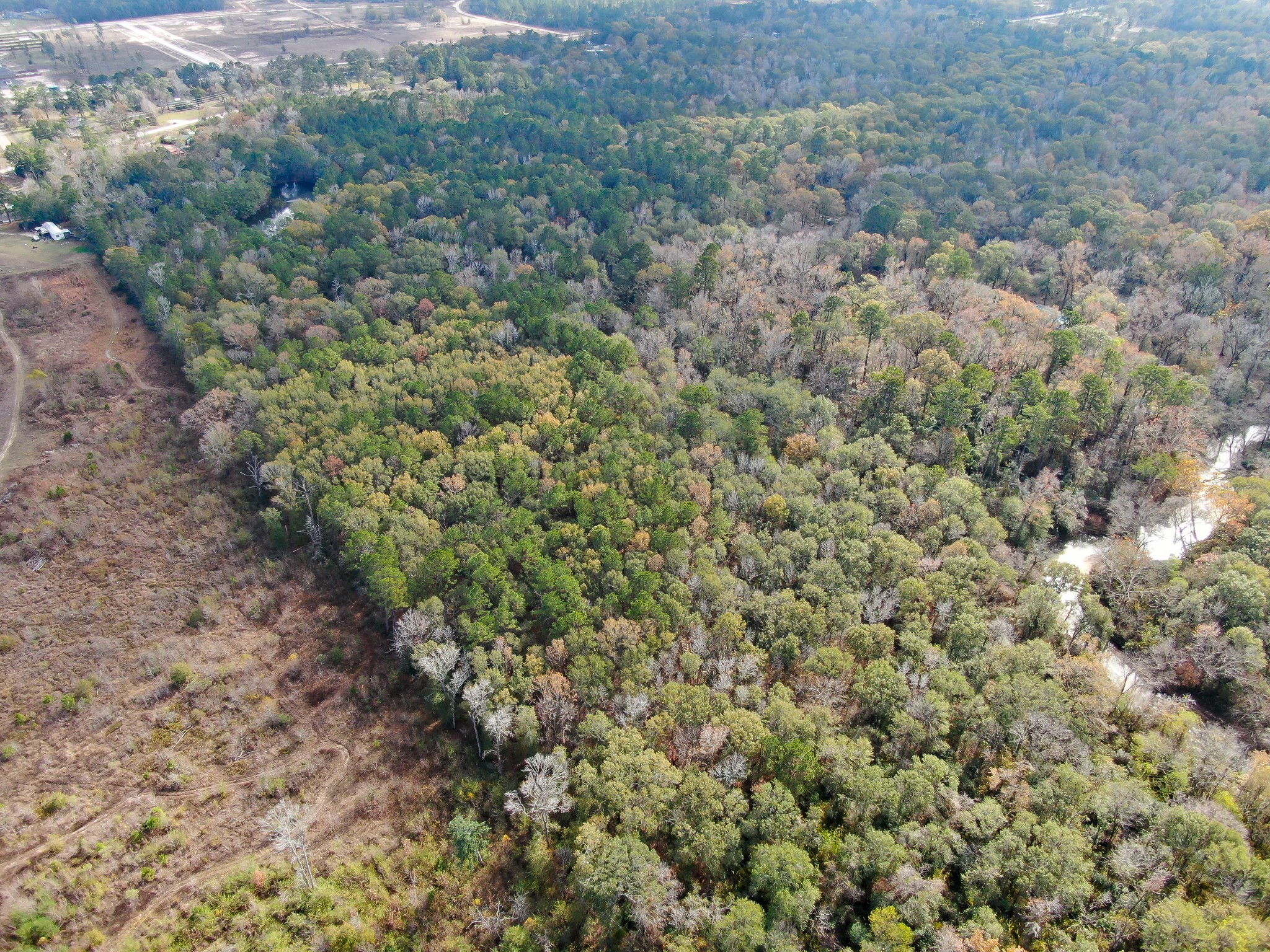 11260 Crockett Martin Road Property Photo 17