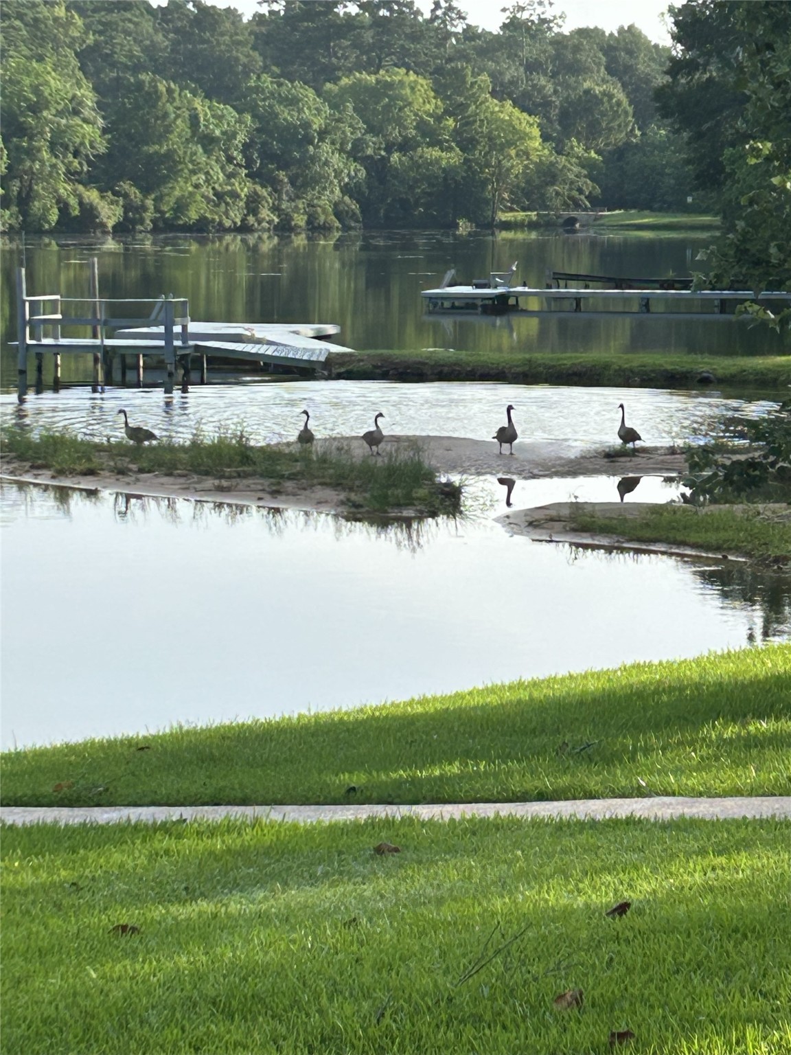 1 Sunset Lake Property Photo 6