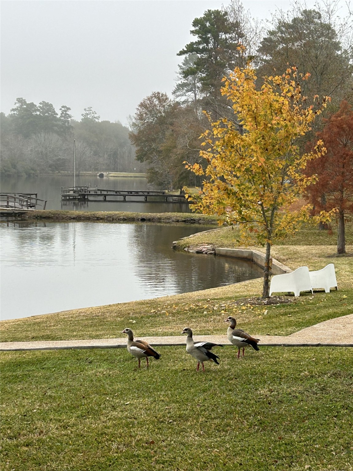 1 Sunset Lake Property Photo 12