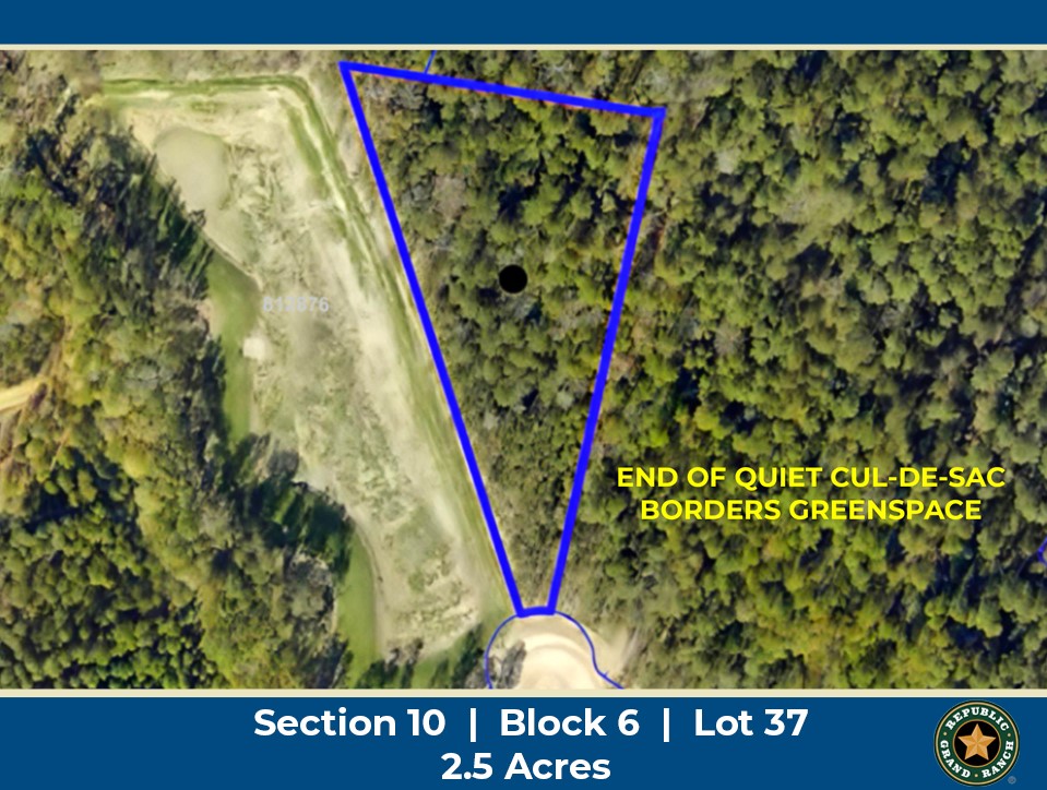 11707 Wishing Star Court Property Photo 1