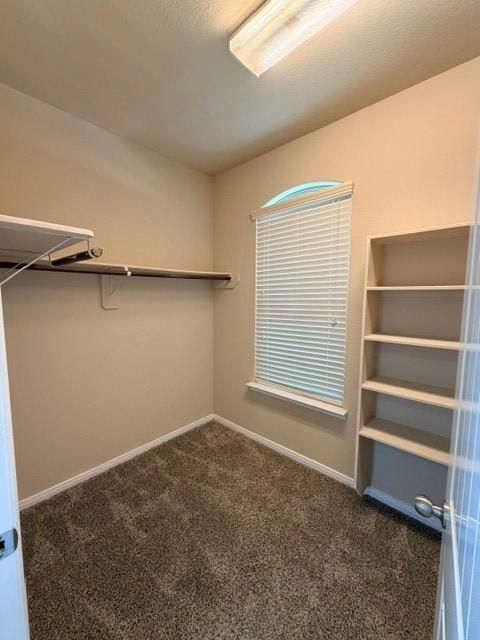 9 Supiro Court Property Photo 14