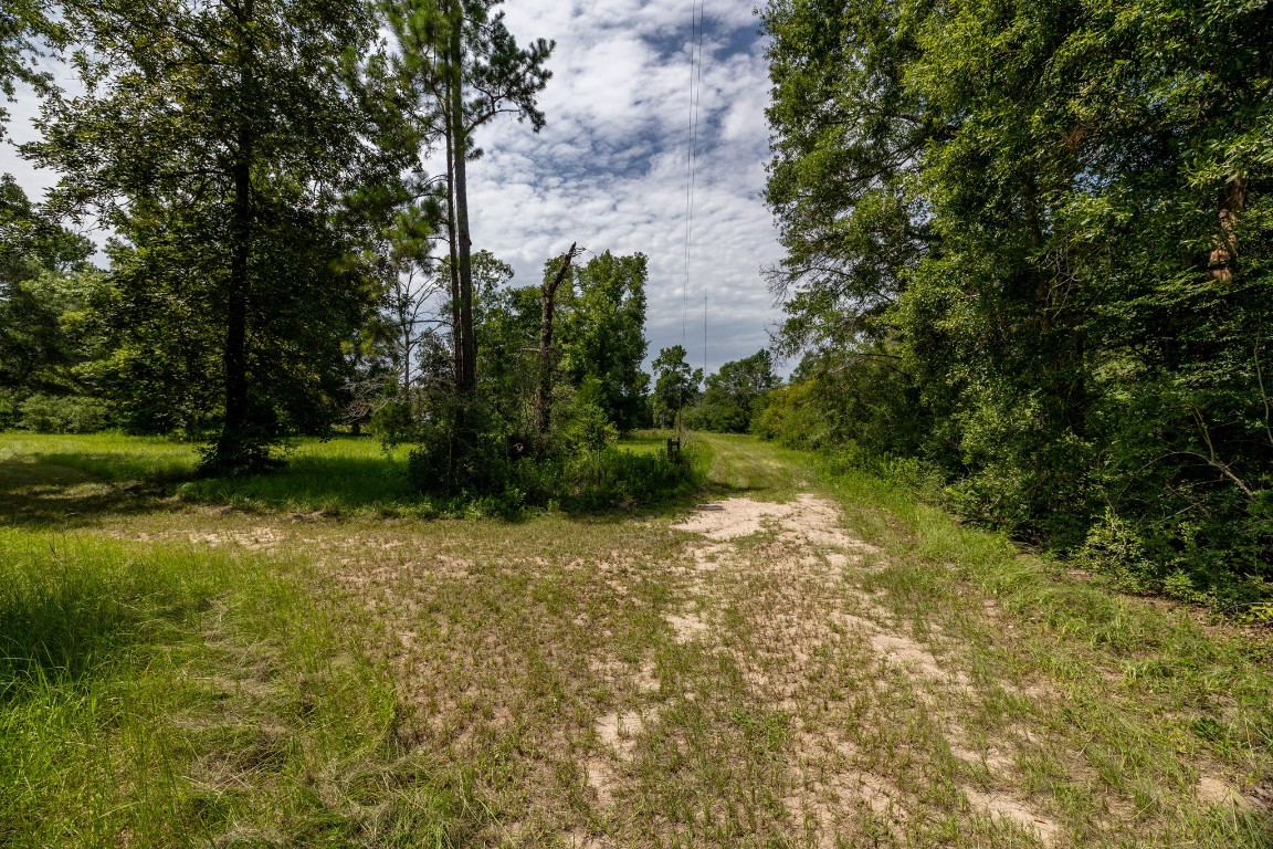 1255 Lee Turner Road Road Property Photo 2