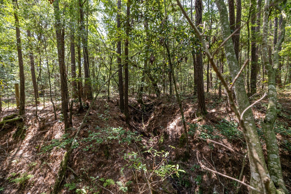 1255 Lee Turner Road Road Property Photo 4