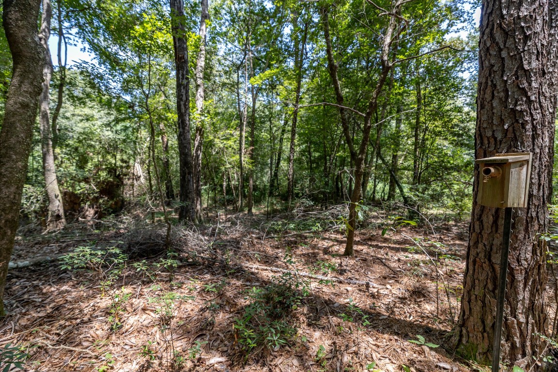 1255 Lee Turner Road Road Property Photo 5