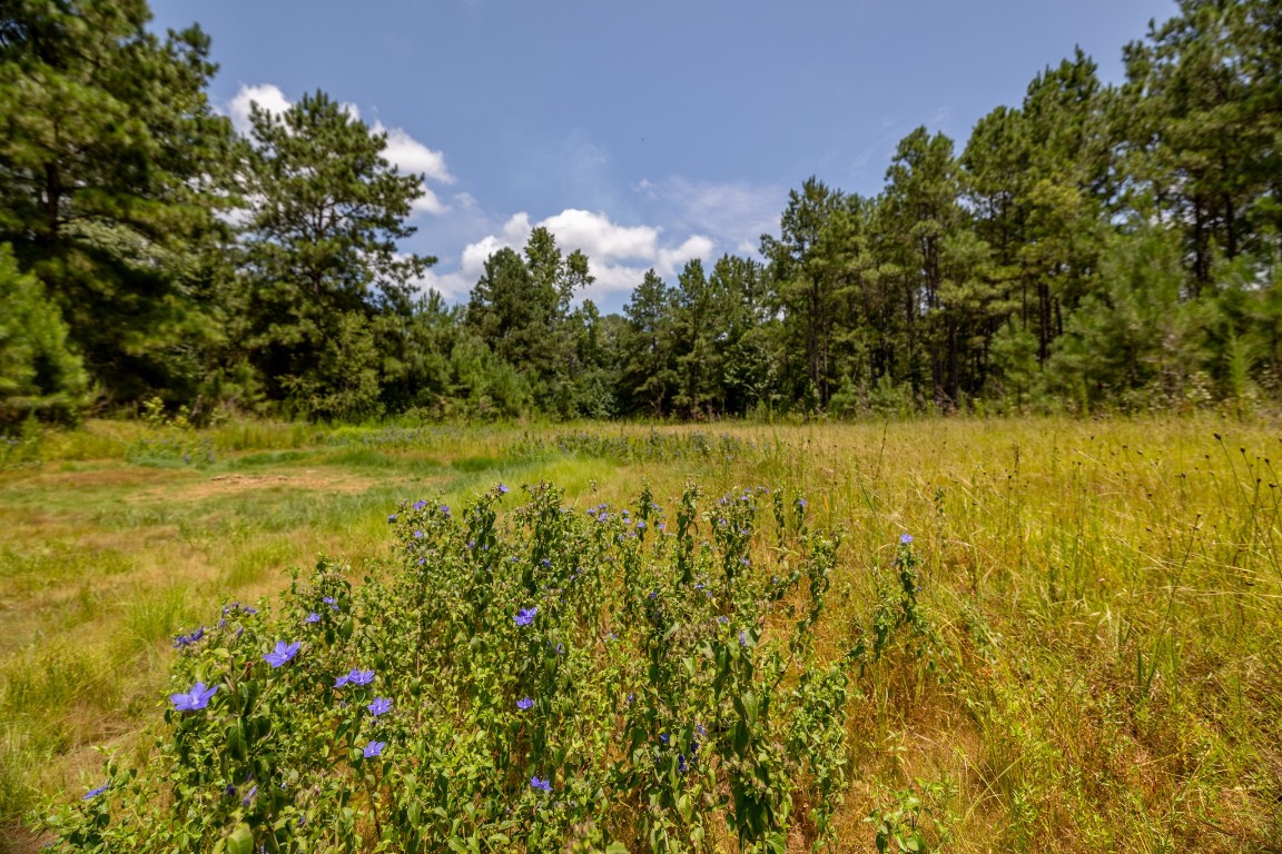 1255 Lee Turner Road Road Property Photo 11