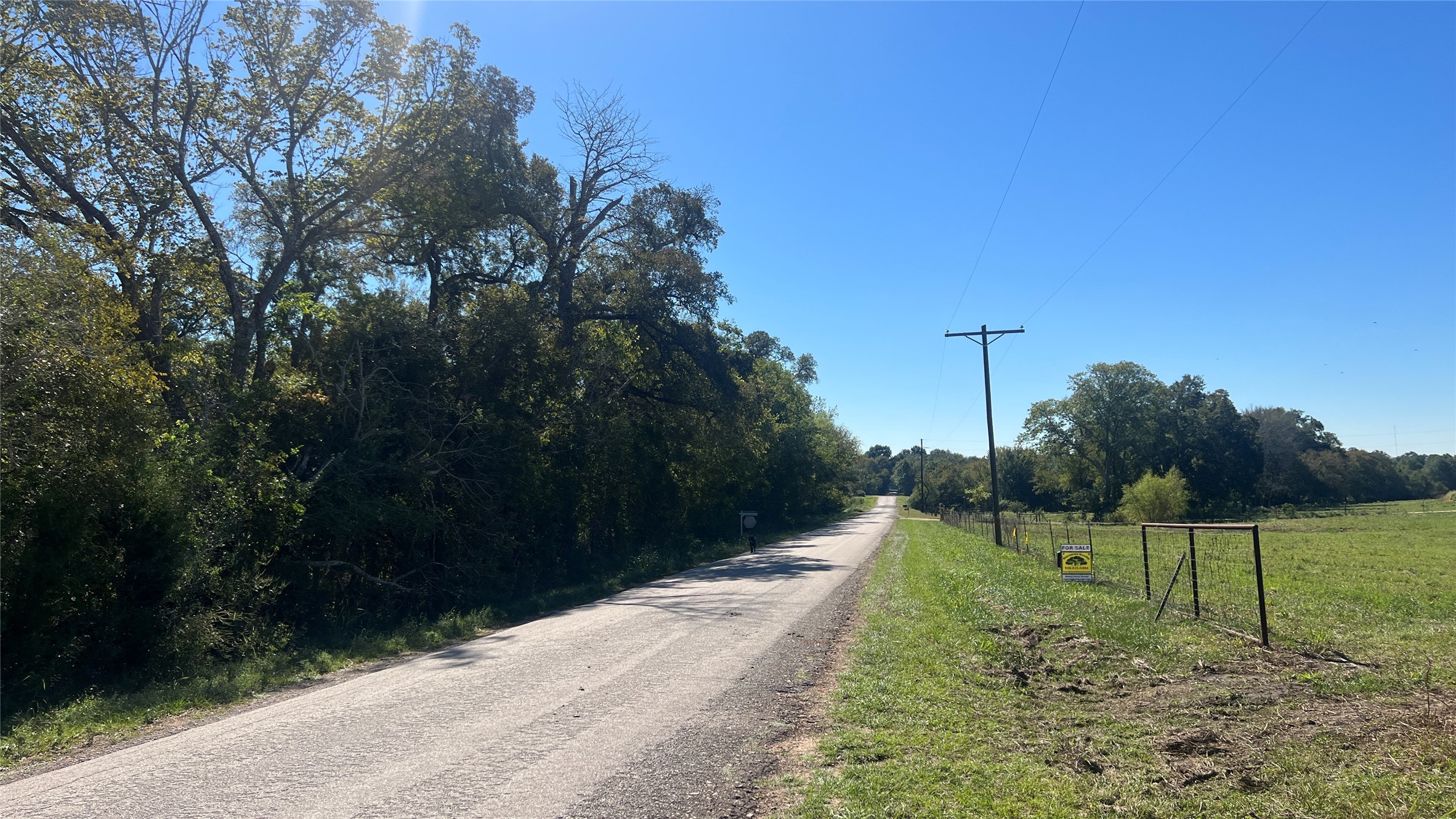 Lot 4 Cr 319 Property Photo 12