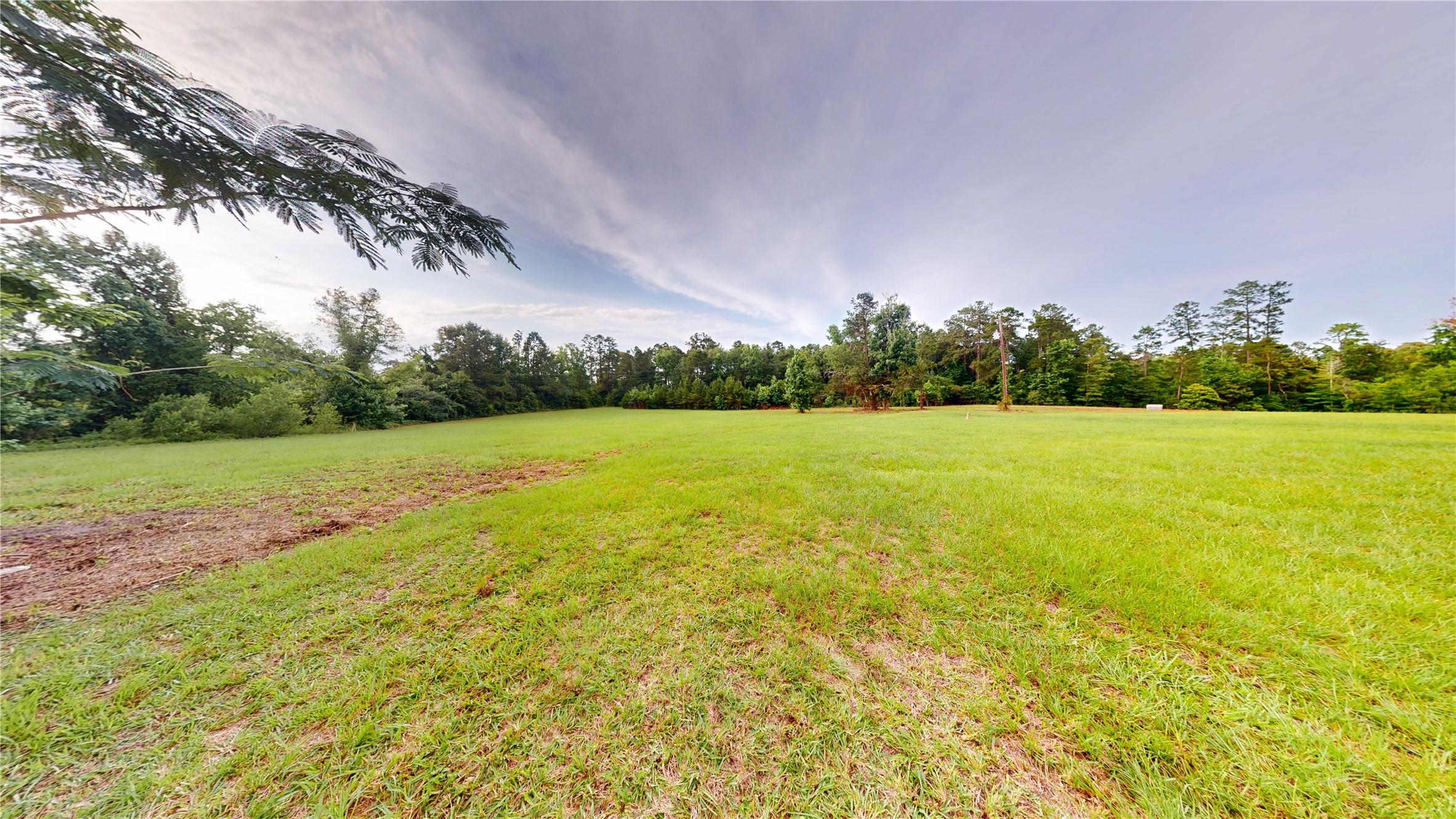 1780 County Road 293 Property Photo 25