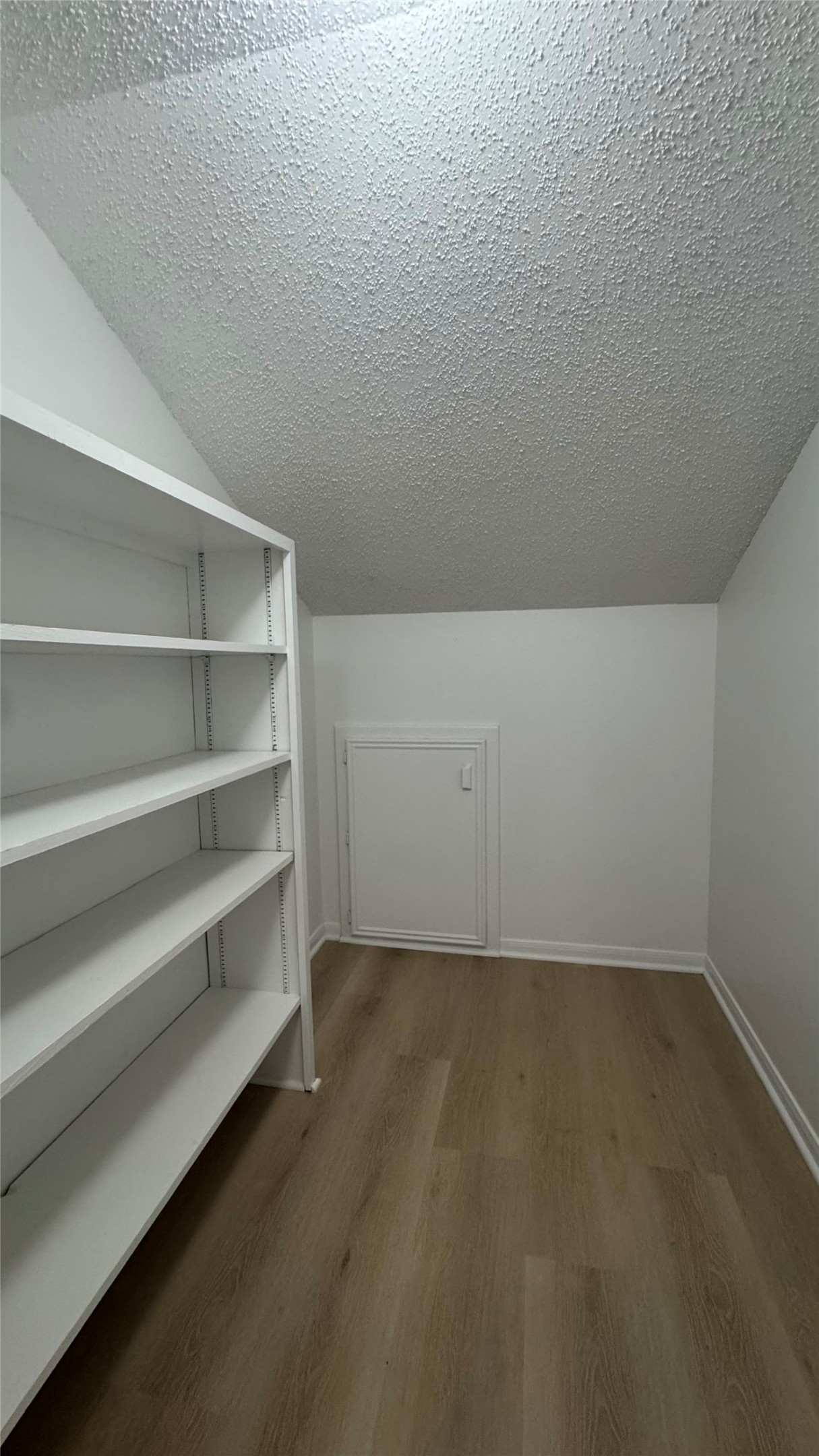 9826 Chiselhurst Drive Property Photo 19