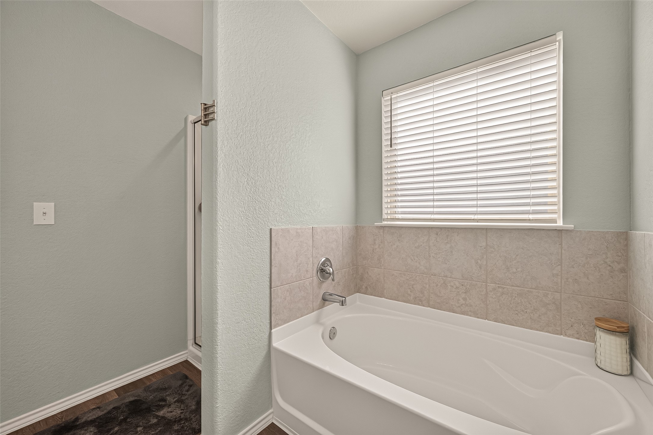 18622 Scarlet Meadow Lane Property Photo 16