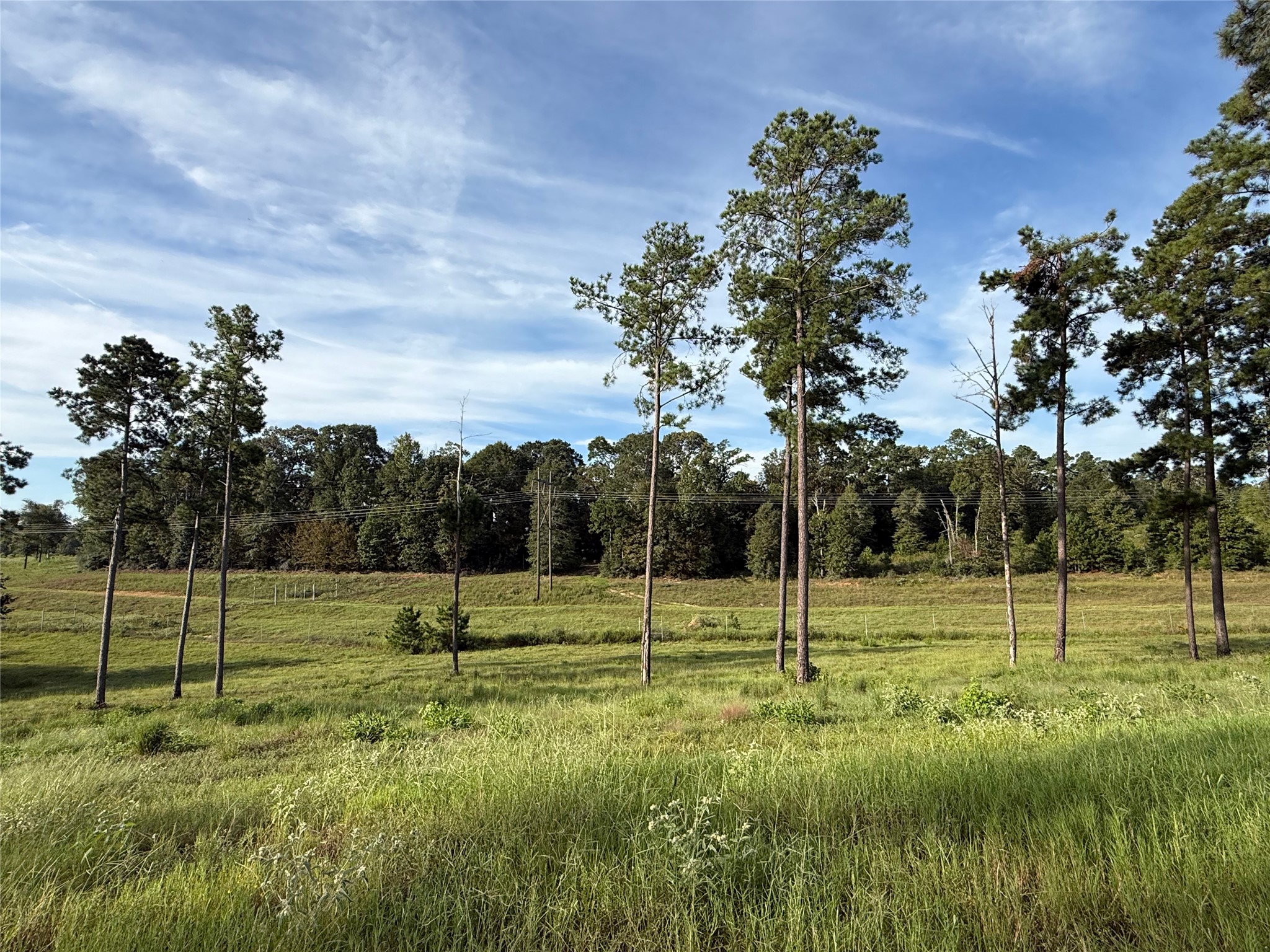 Tbd Anna Grace Property Photo 2