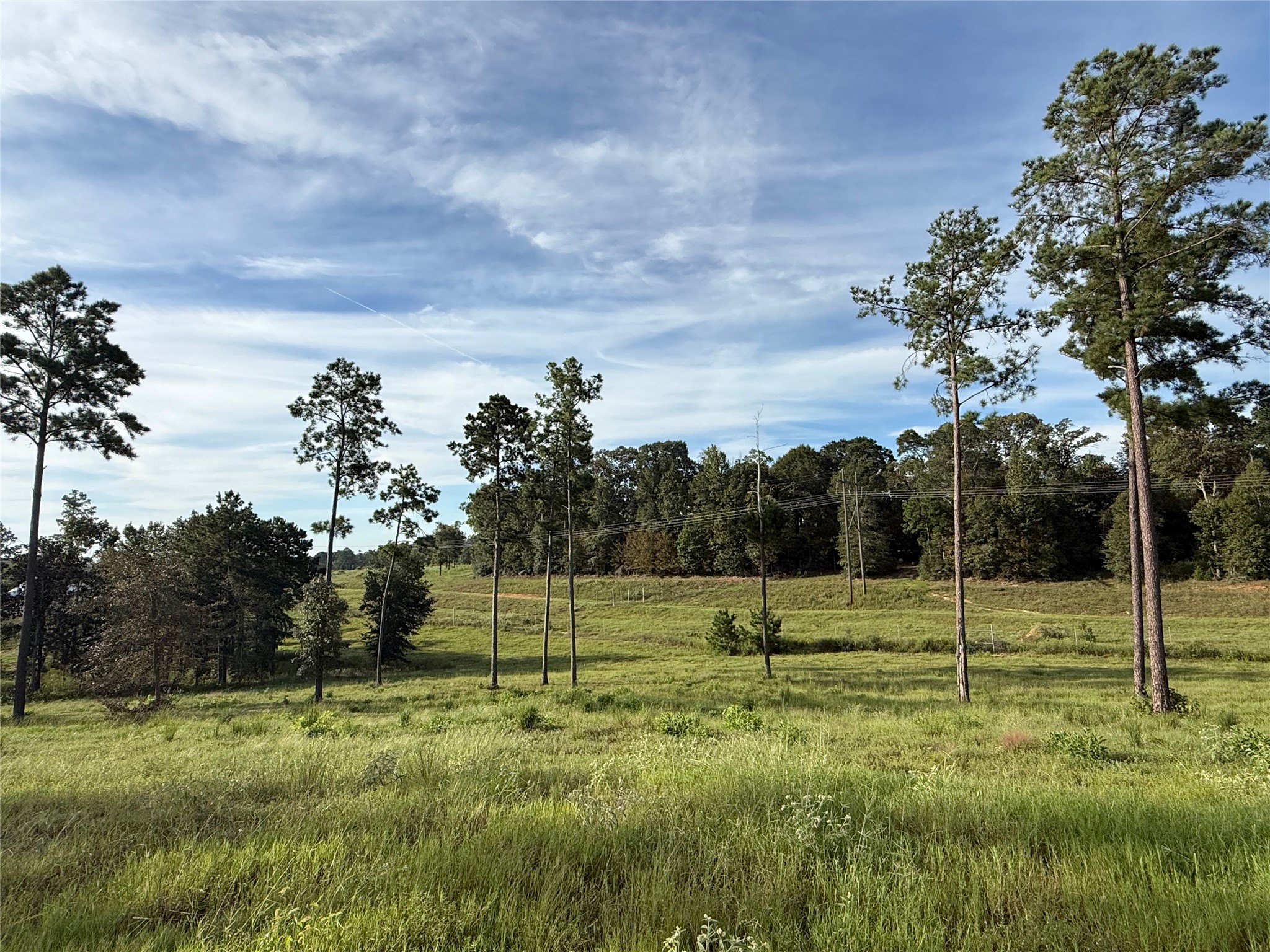 Tbd Anna Grace Property Photo 3