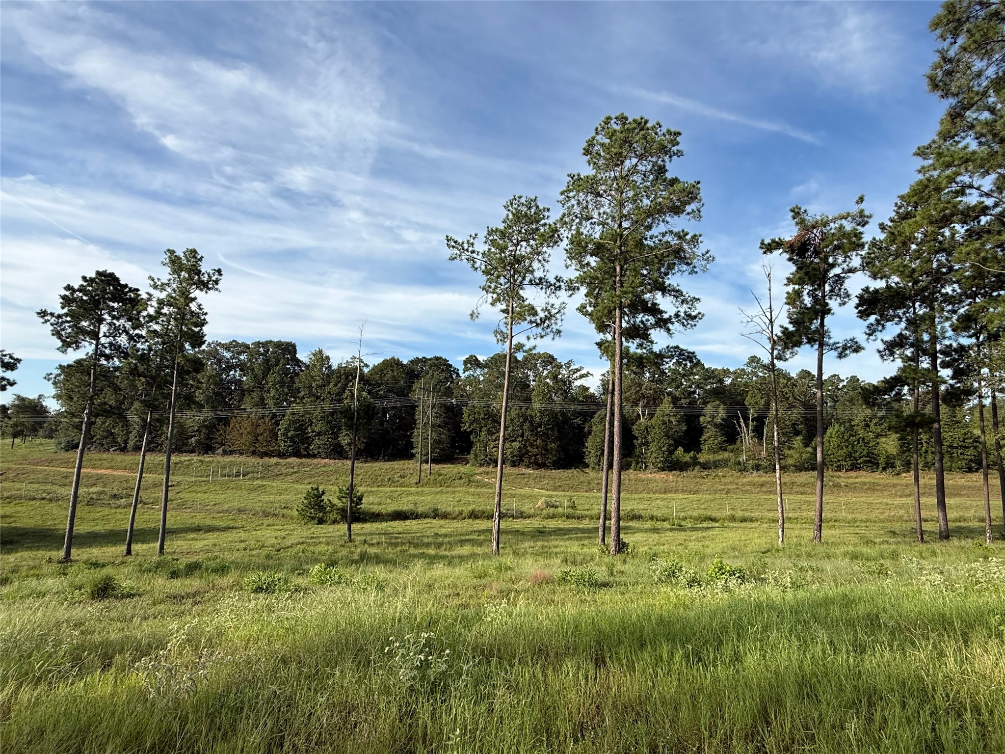 Tbd Anna Grace Property Photo 4