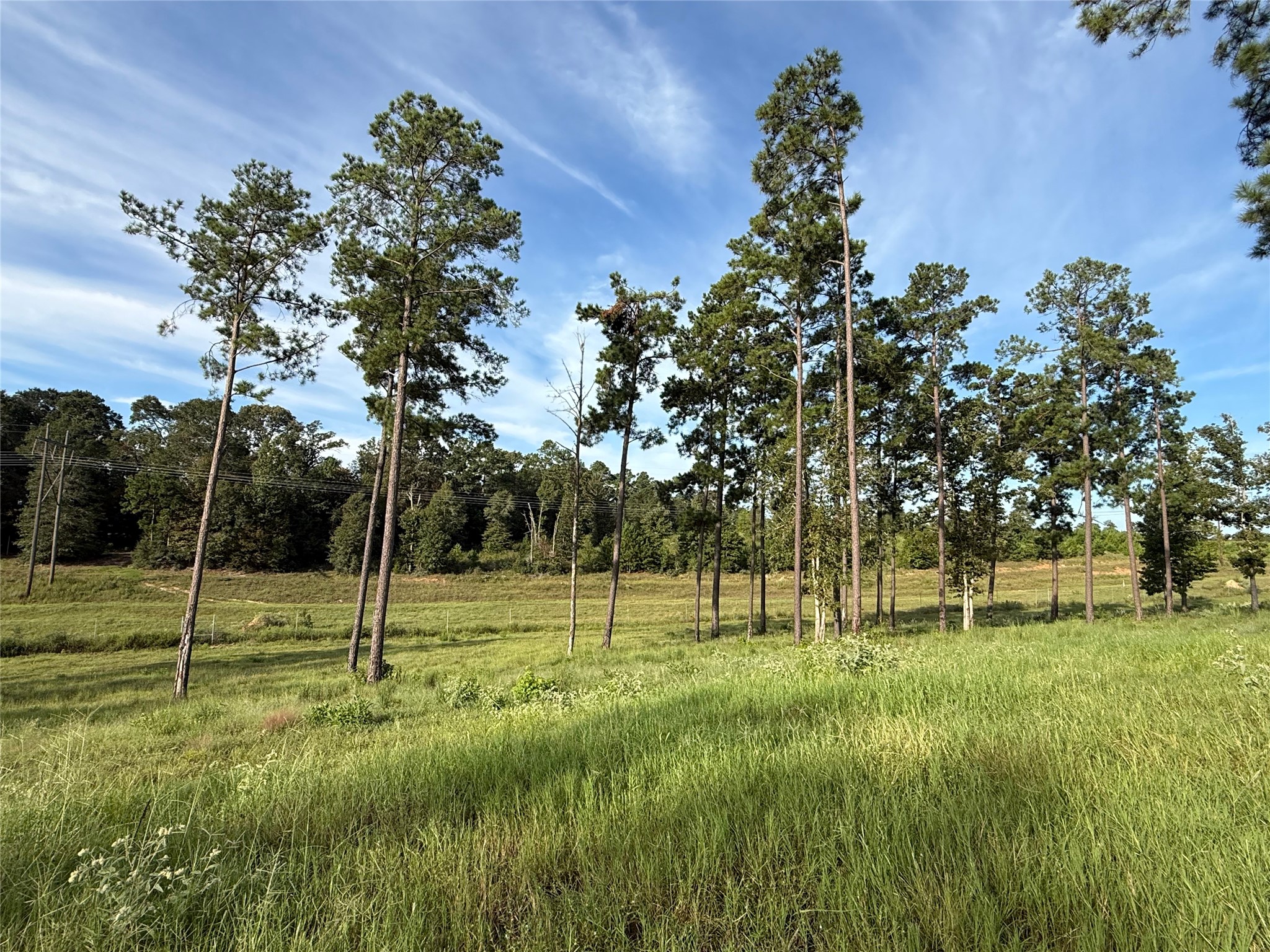 Tbd Anna Grace Property Photo 5