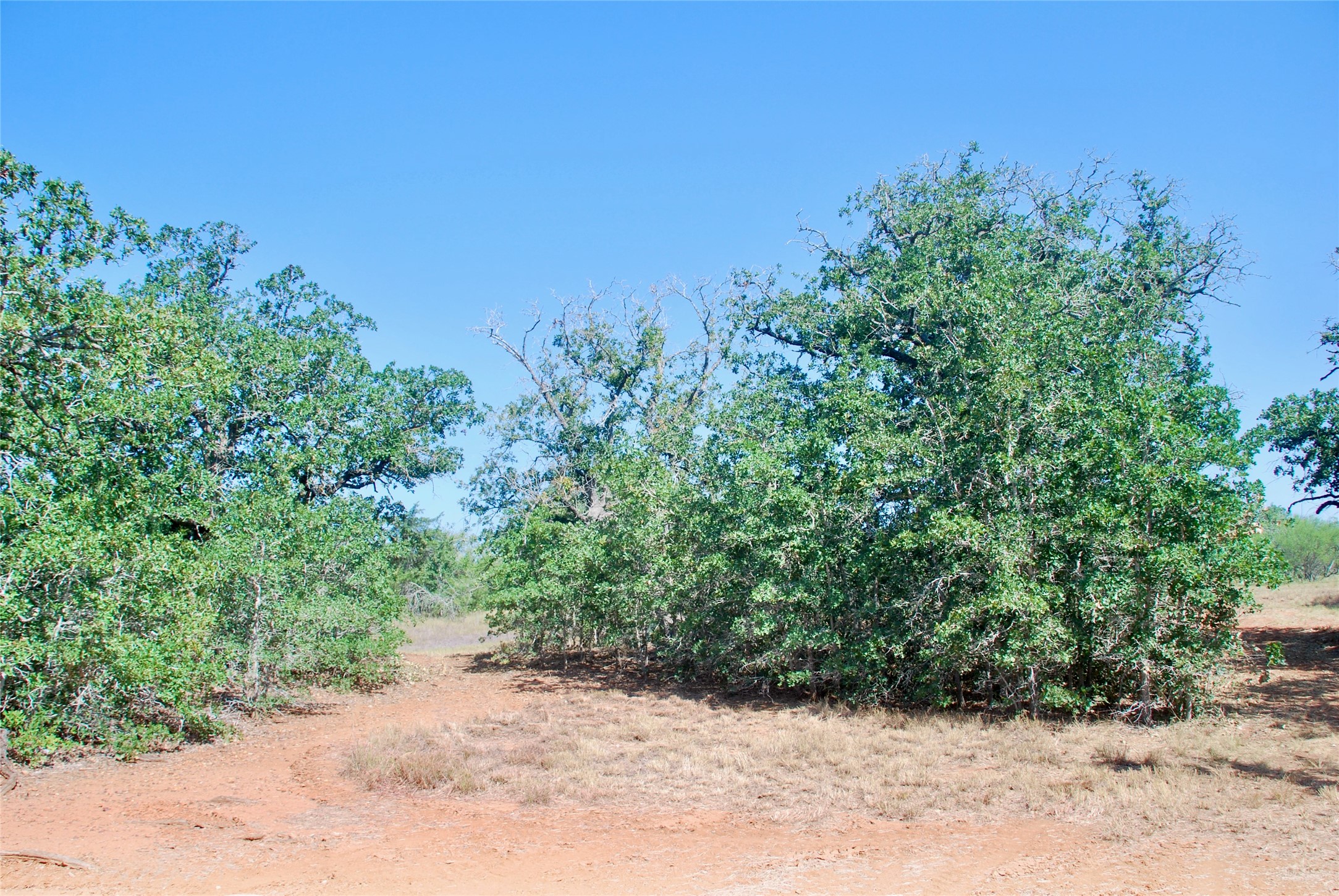Tbd Cr 426 Property Photo 6