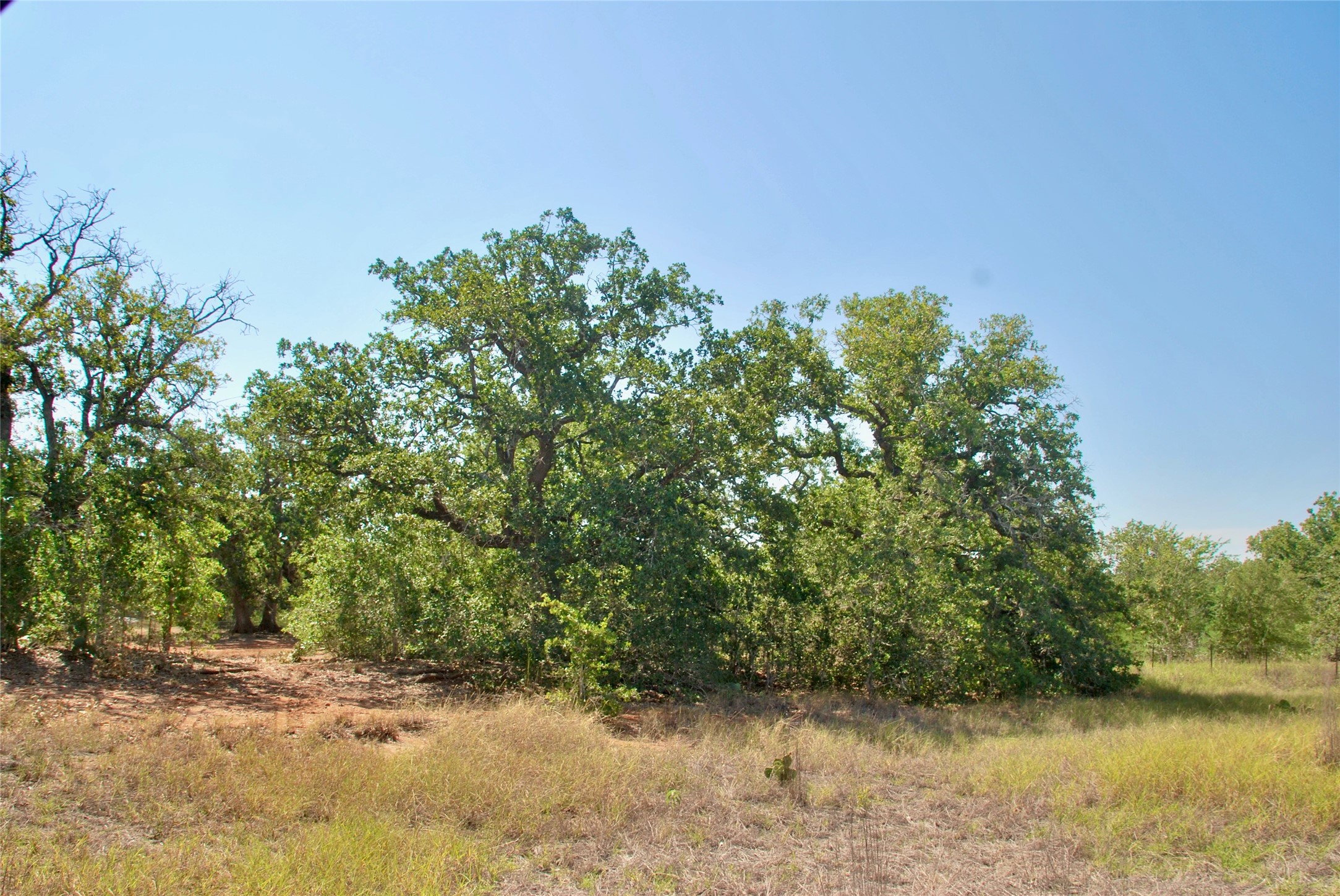 Tbd Cr 426 Property Photo 8