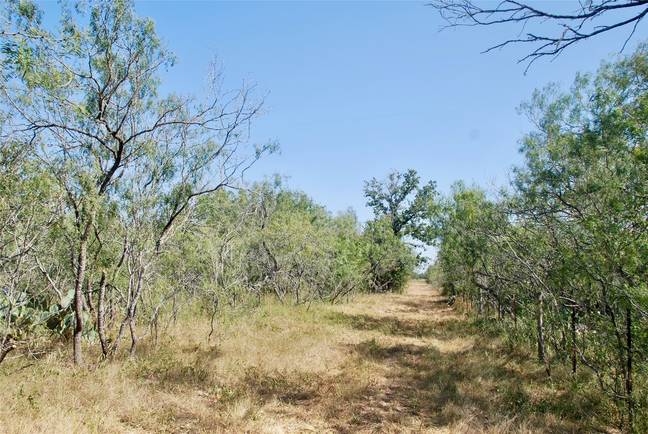 Tbd Cr 426 Property Photo 10