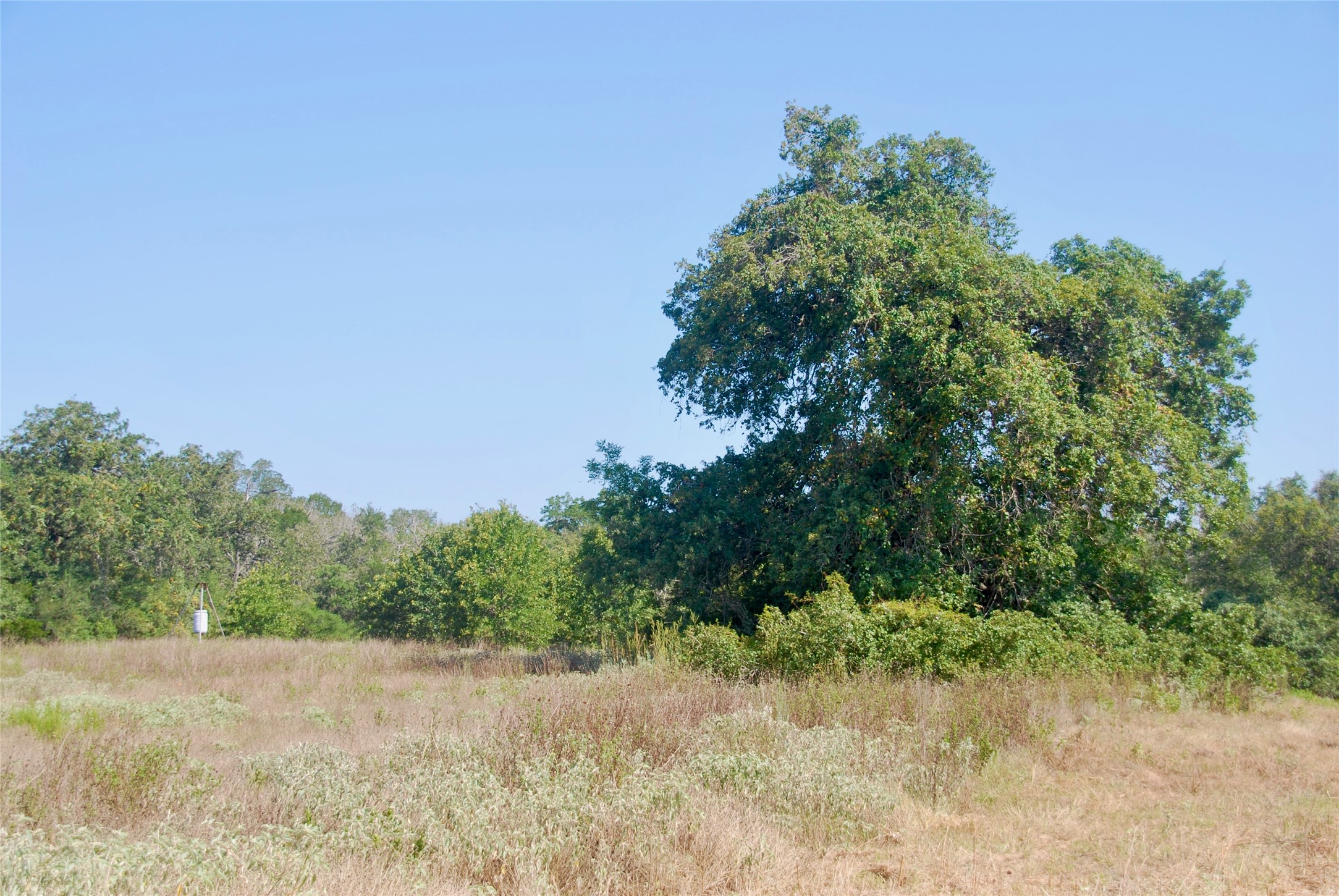 Tbd Cr 426 Property Photo 17