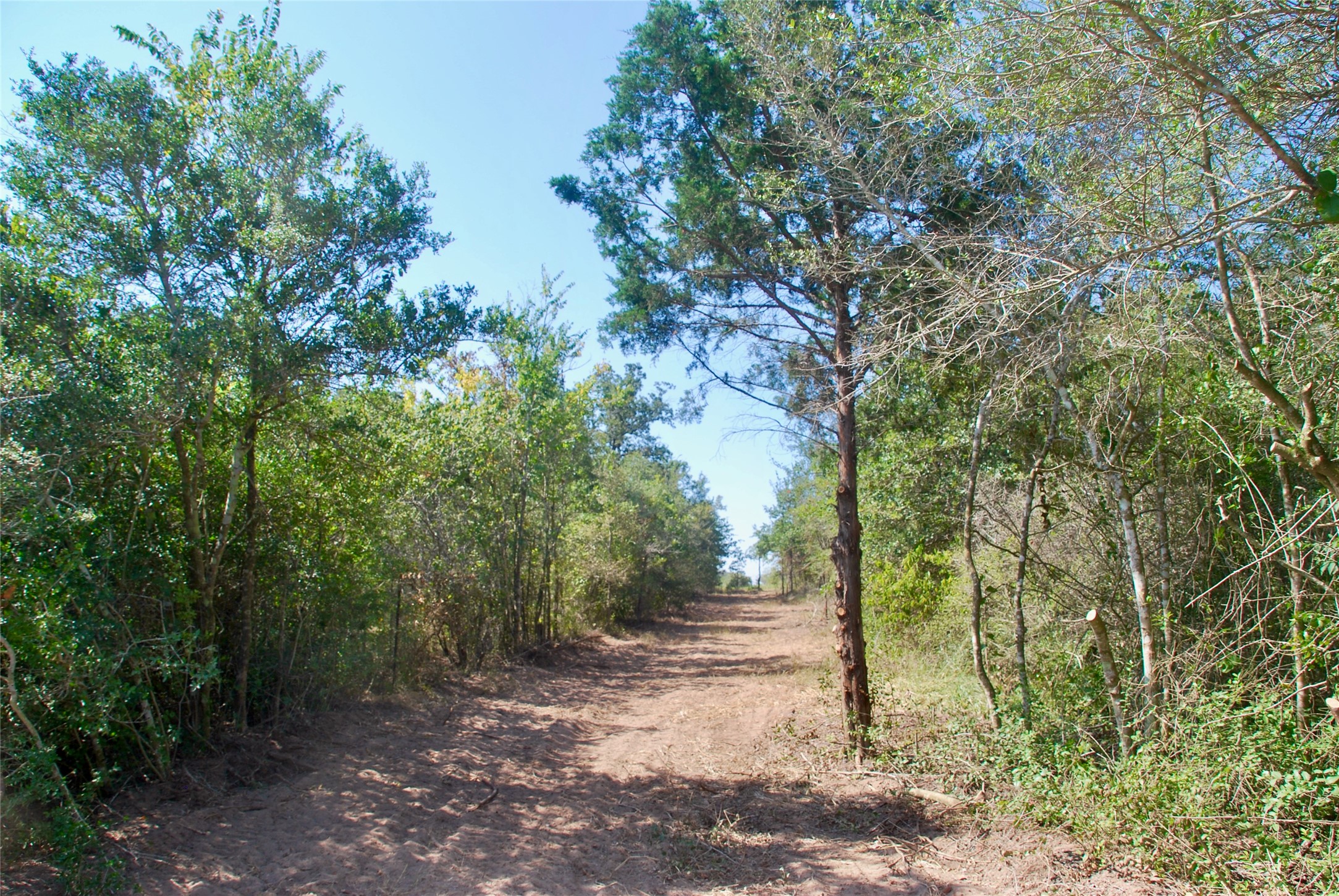 Tbd Cr 426 Property Photo 21