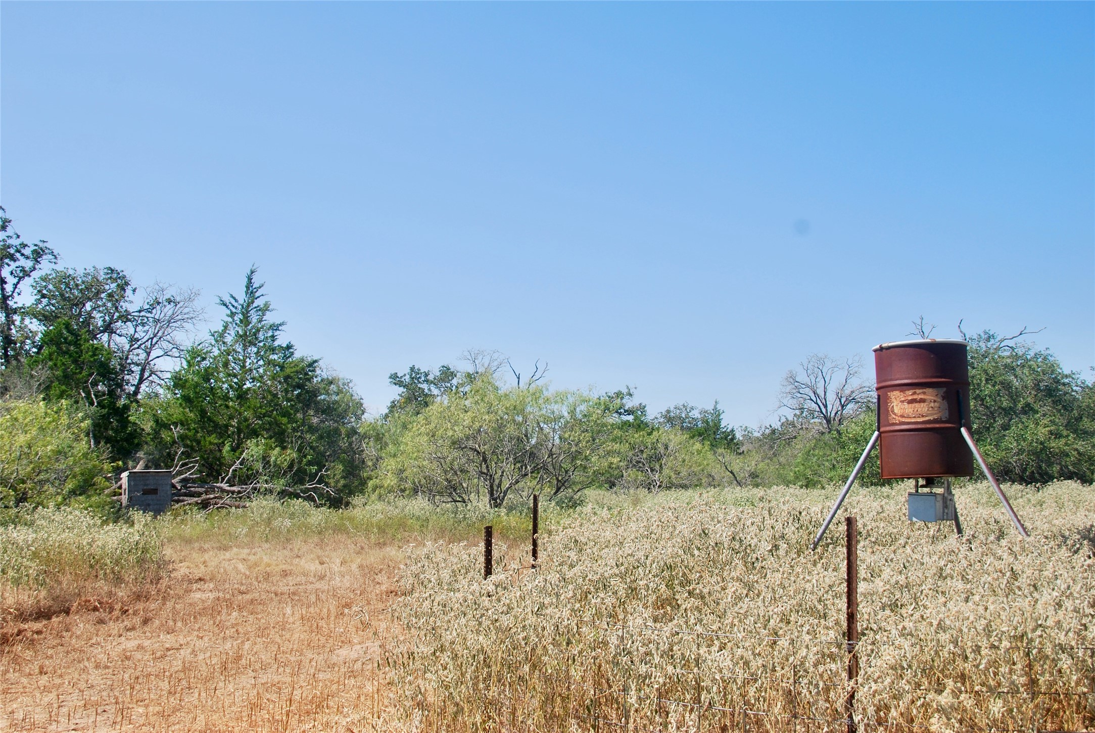 Tbd Cr 426 Property Photo 26