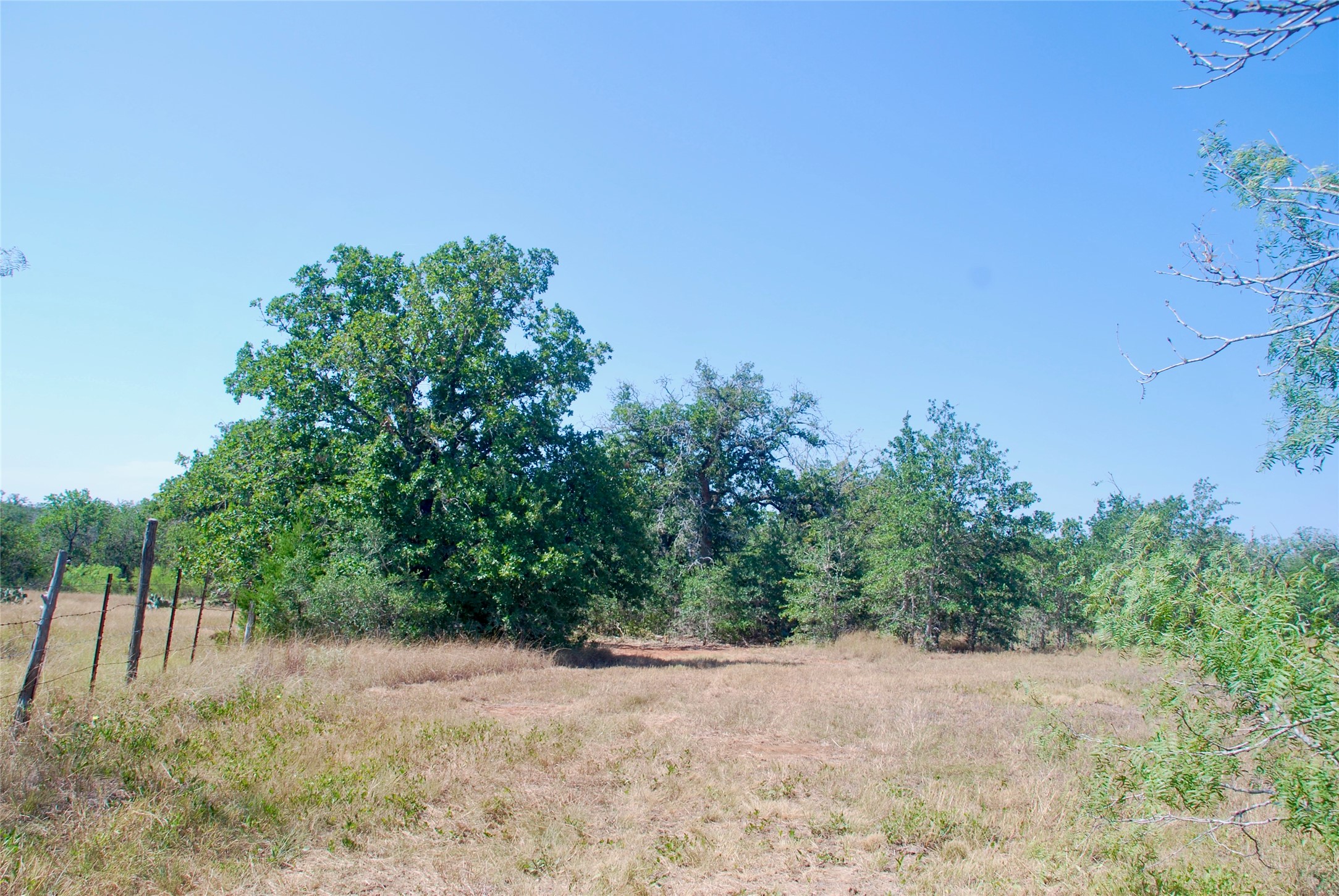 Tbd Cr 426 Property Photo 27