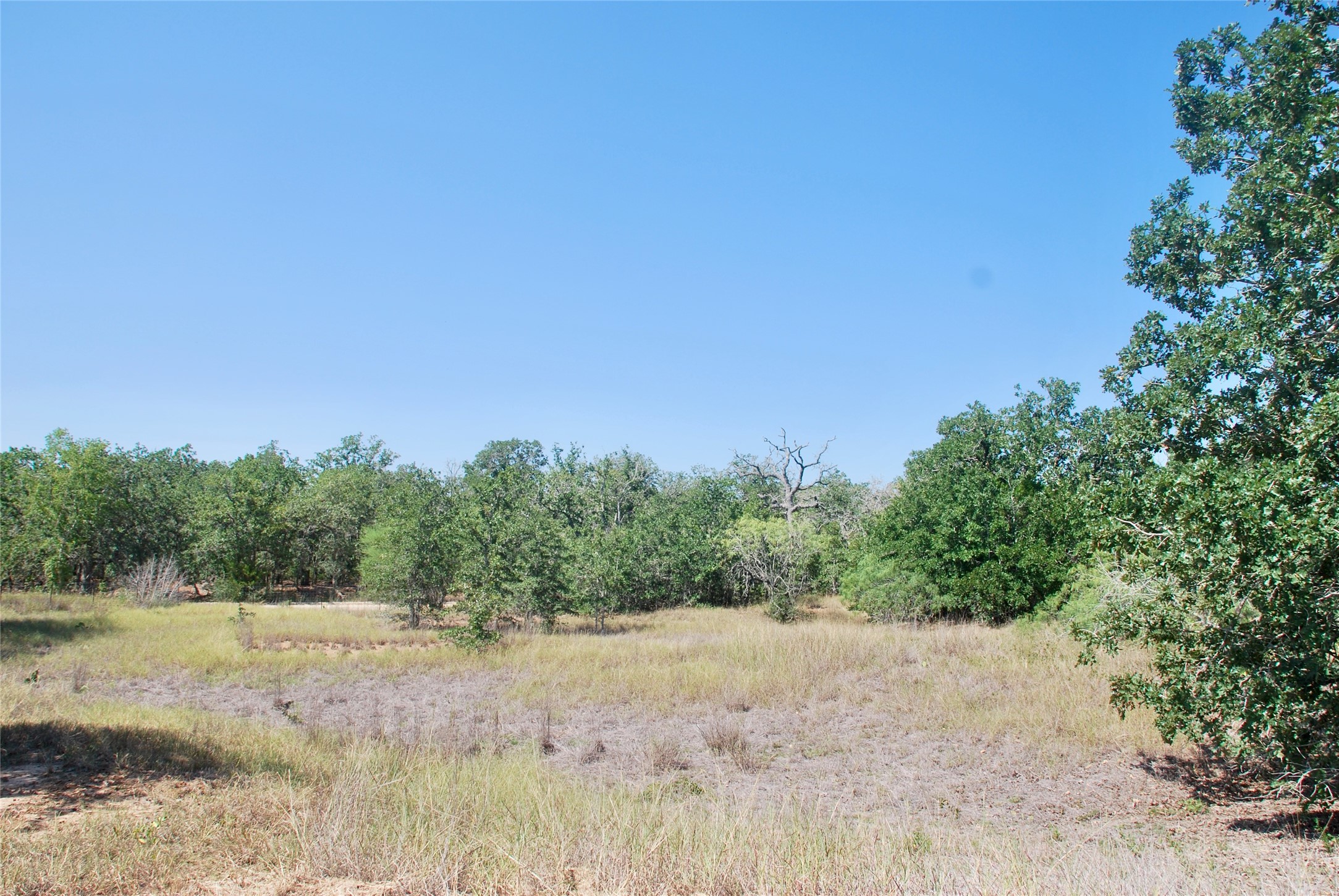 Tbd Cr 426 Property Photo 30