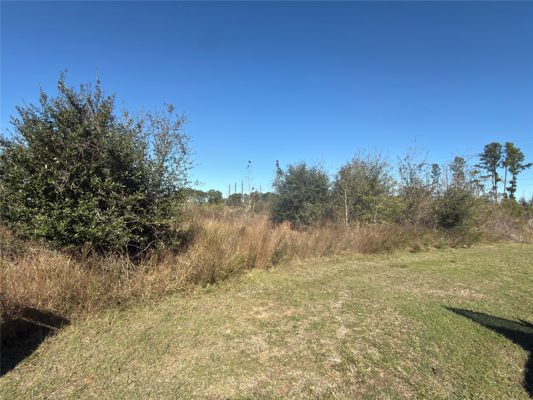 8908 Fm 2920 Property Photo 3