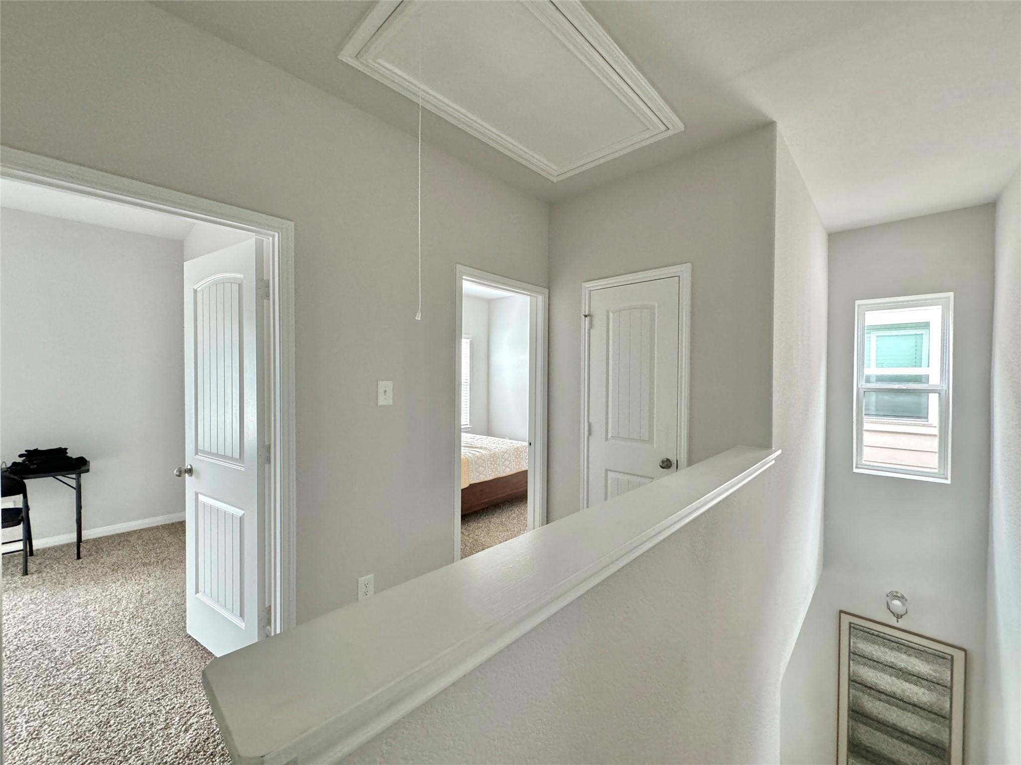 24811 Landolfi Drive Property Photo 4